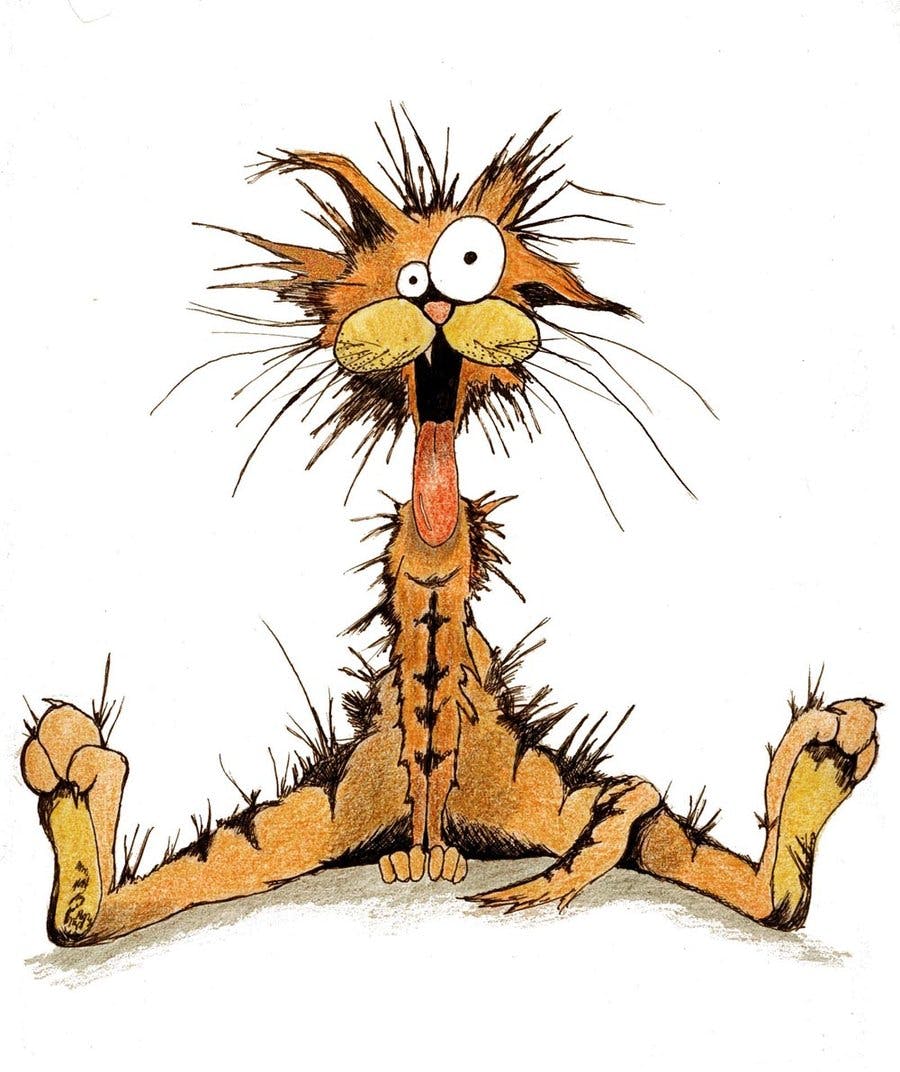 user avatar image for Dave Coe