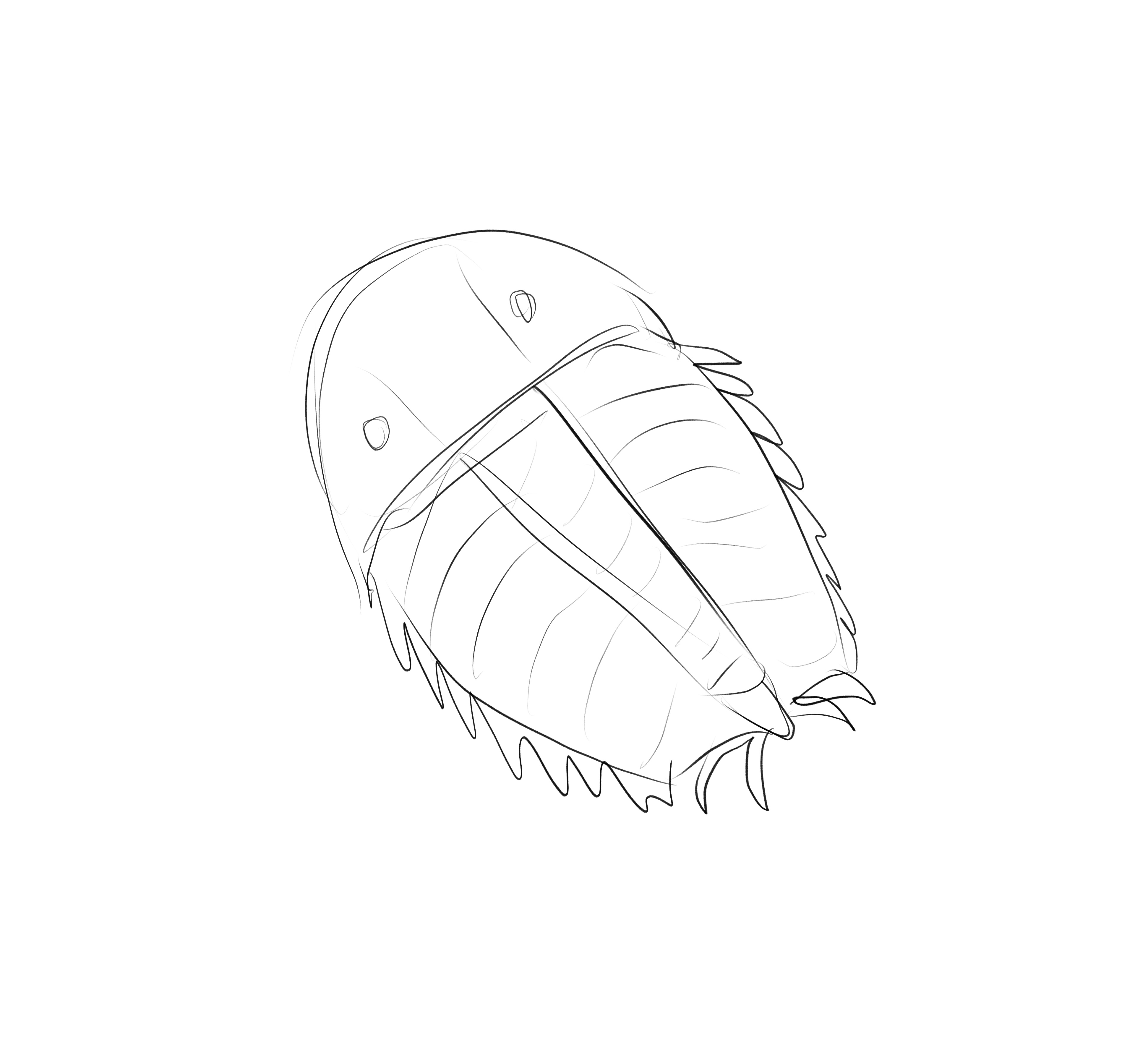 Trilobite