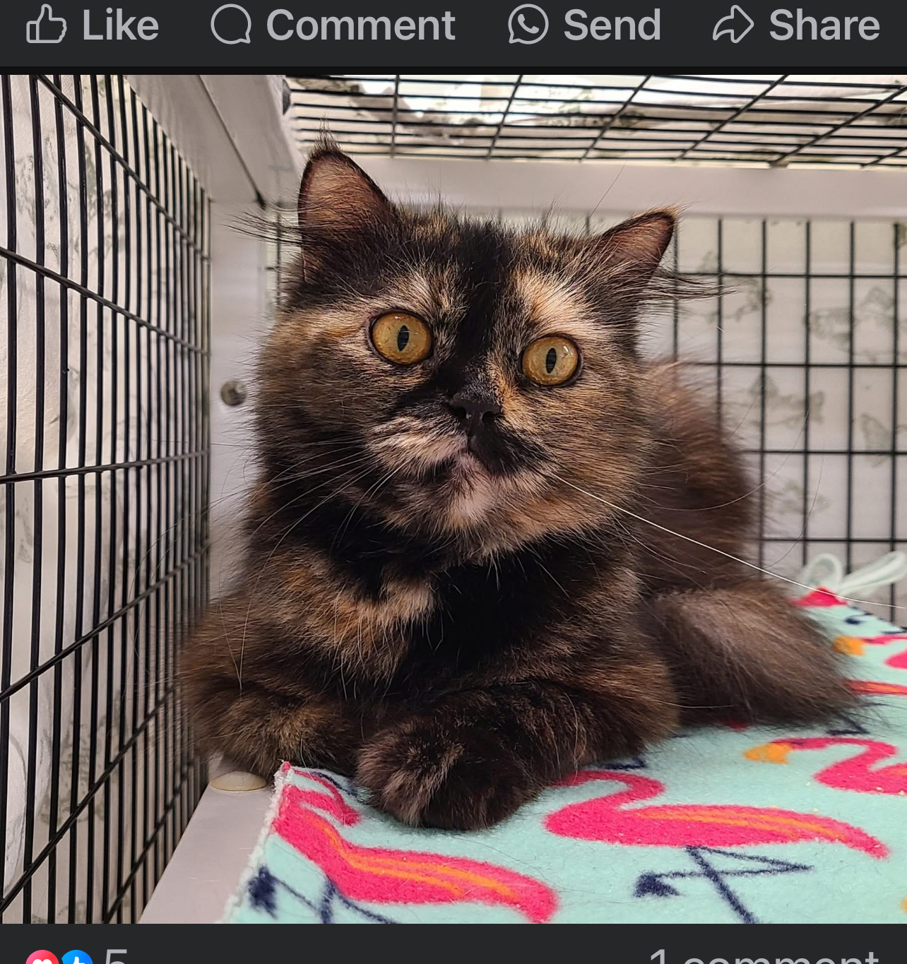 user avatar image for Sherri Dean