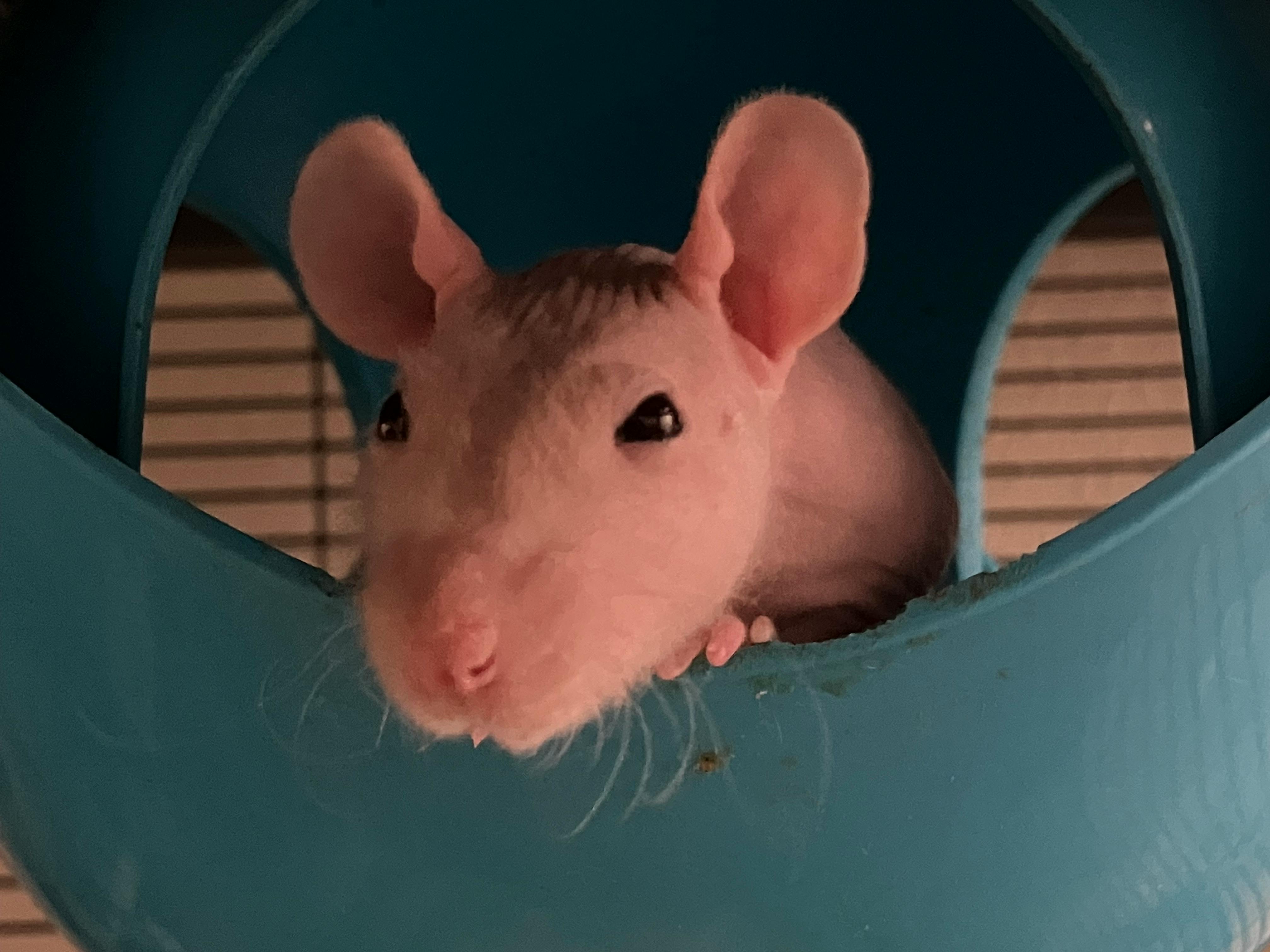 user avatar image for Seven