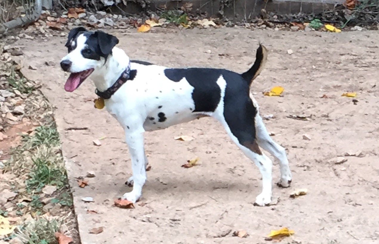 user avatar image for Michael Borawski