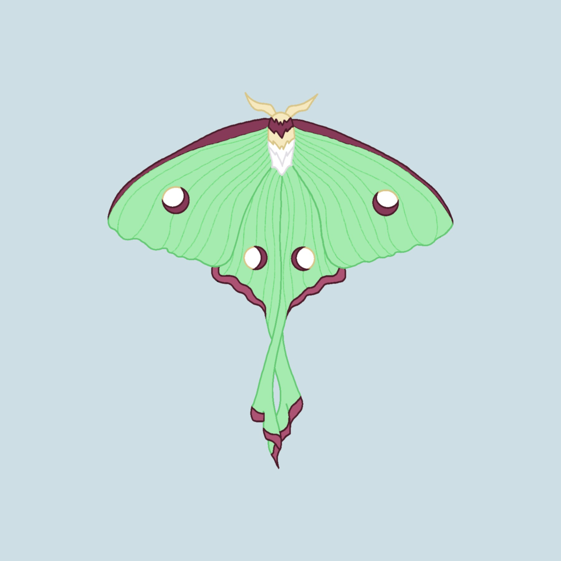 user avatar image for Ava Conrad