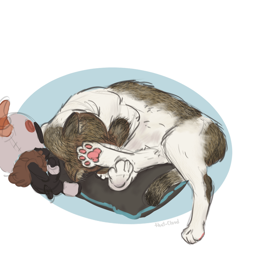 user avatar image for Meghan Rojas