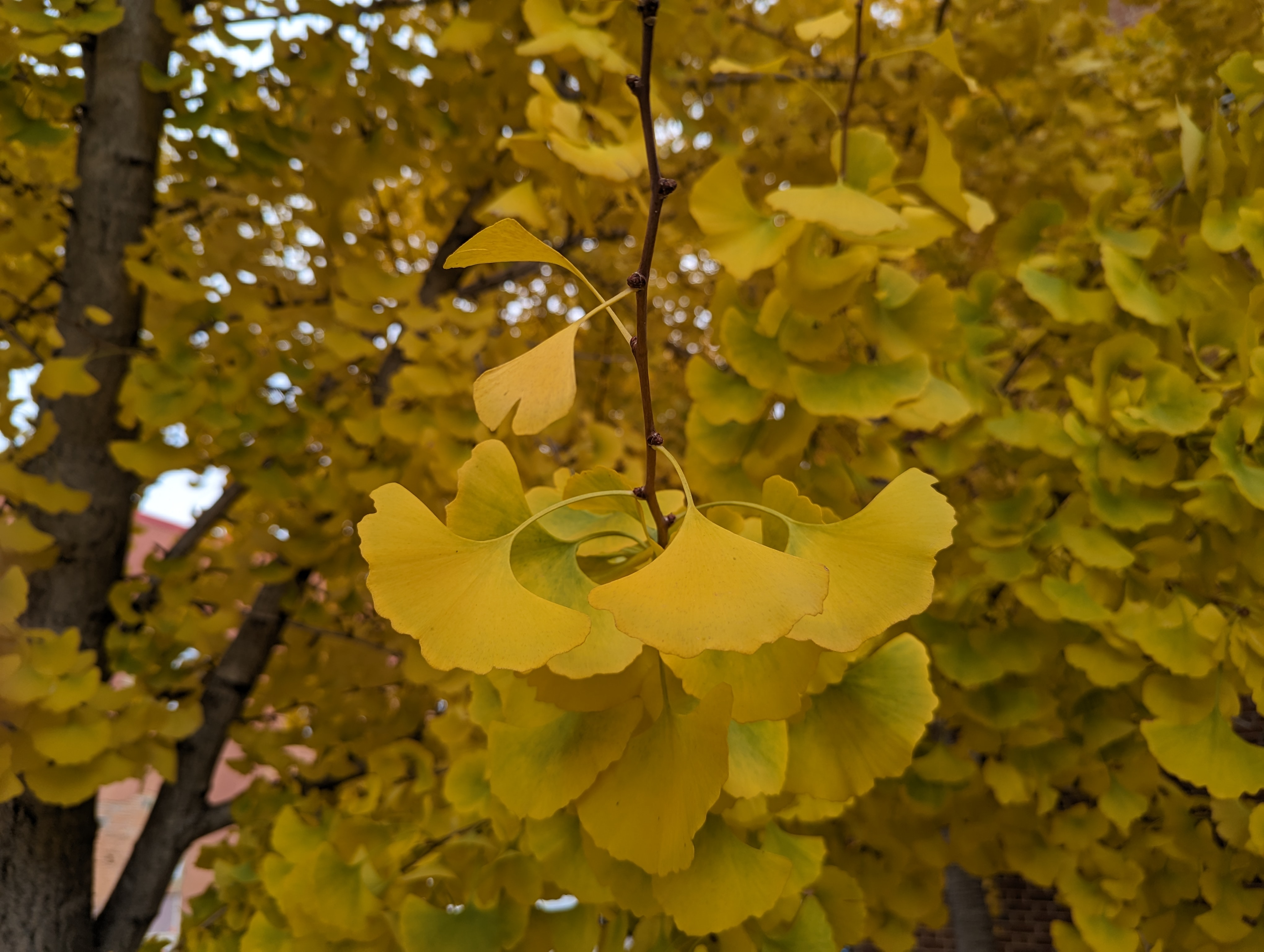 user avatar image for Tatiana