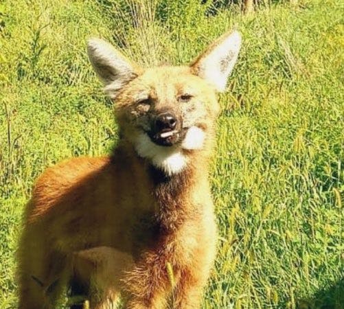 user avatar image for Russell