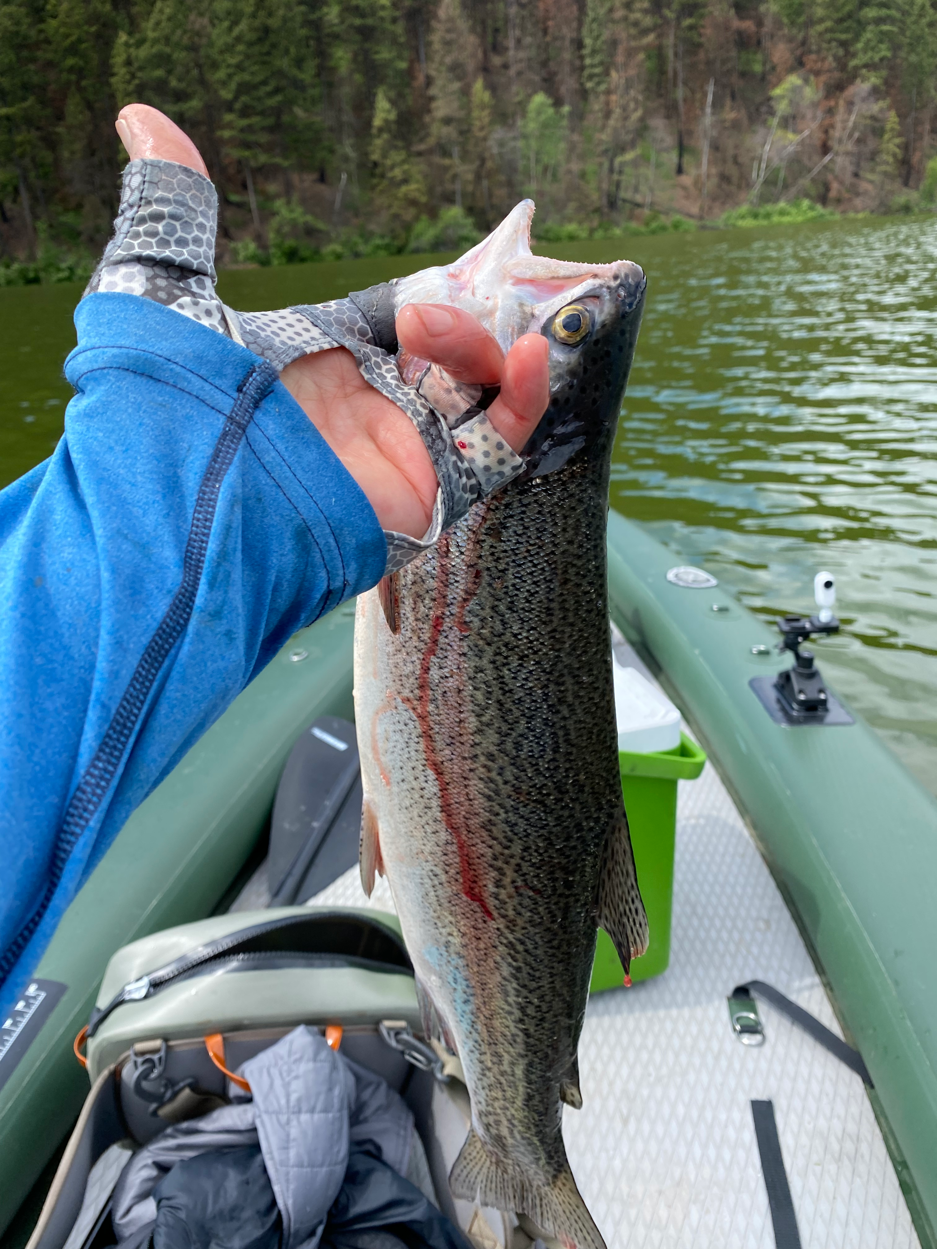 user avatar image for Rick Chen