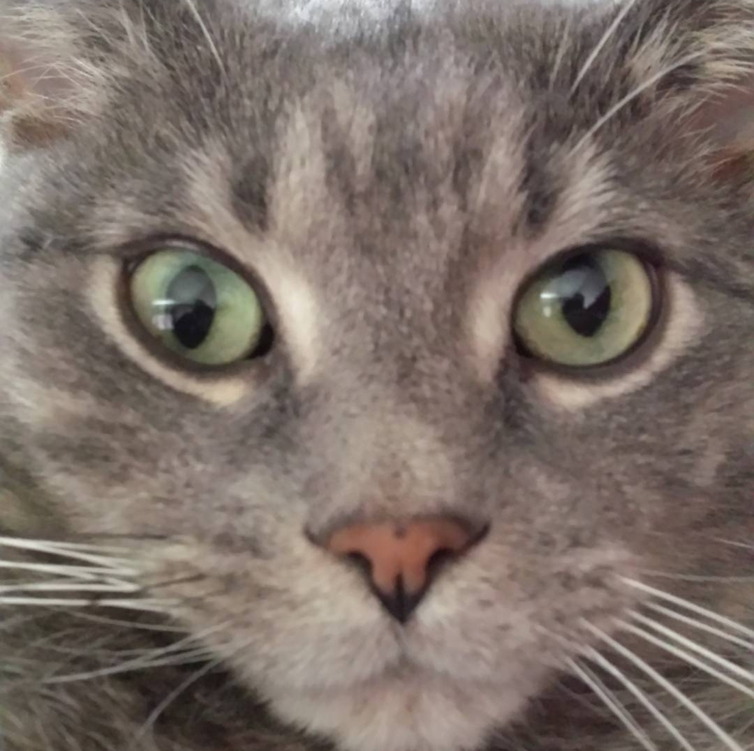 user avatar image for BiPolarBiped