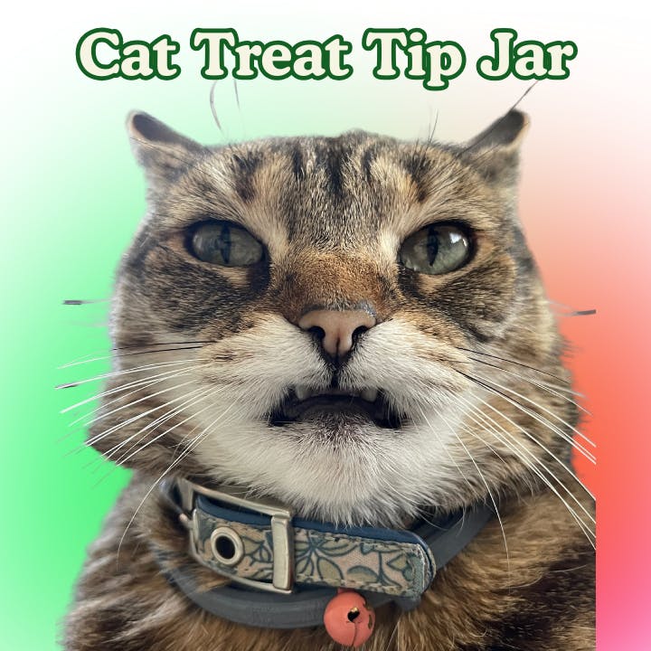 Cat Treat Tip Jar