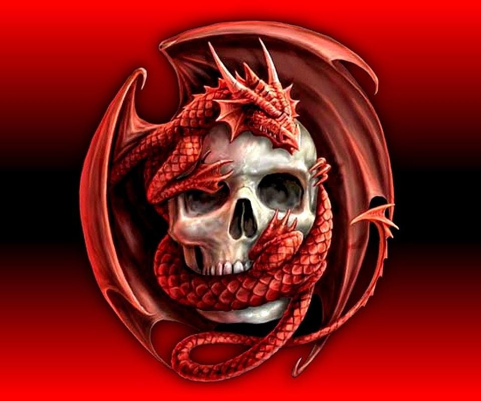 user avatar image for Dfpdragon