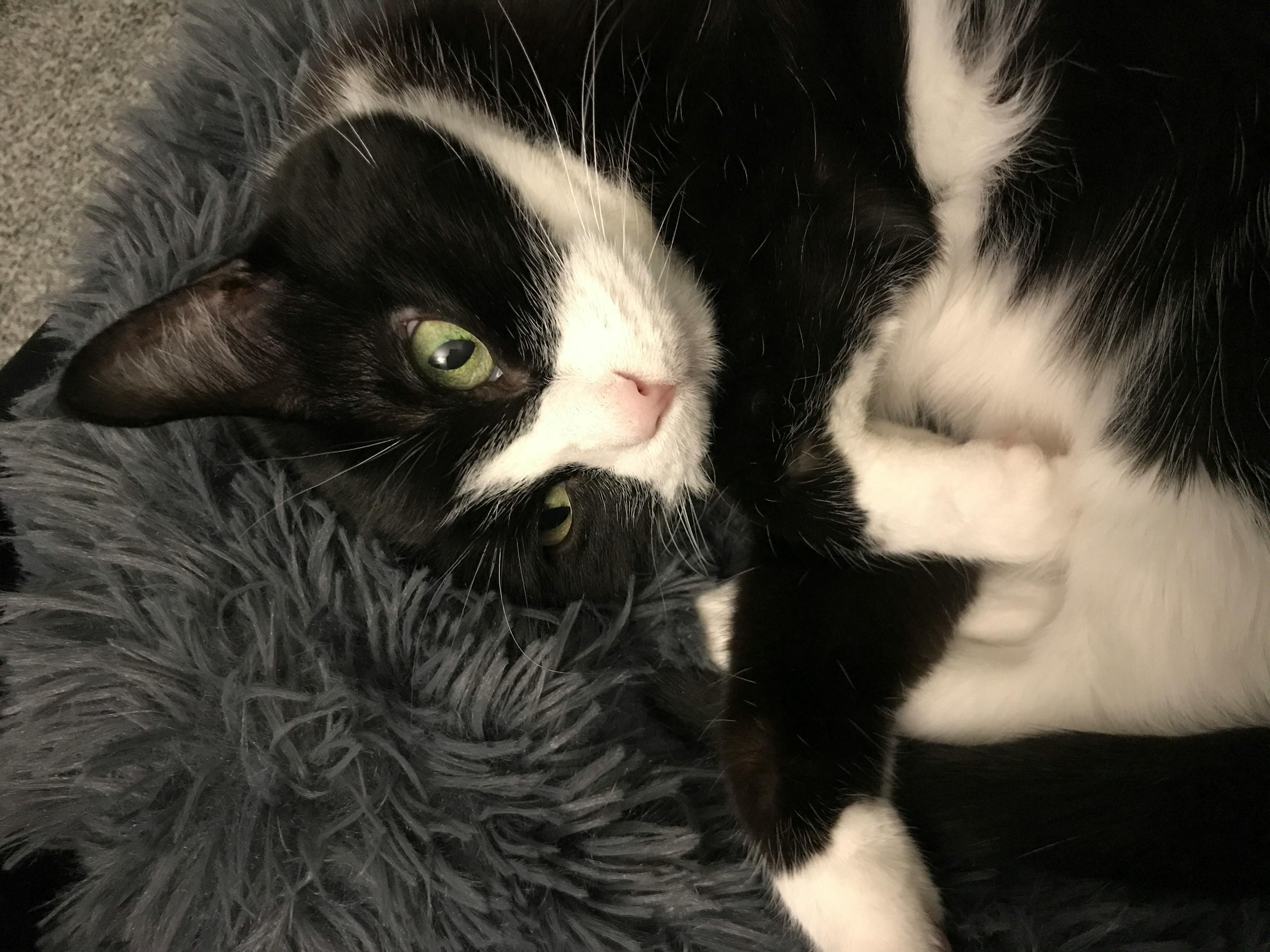 user avatar image for Ryn