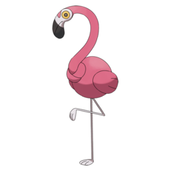 user avatar image for Anonymous Flamingo