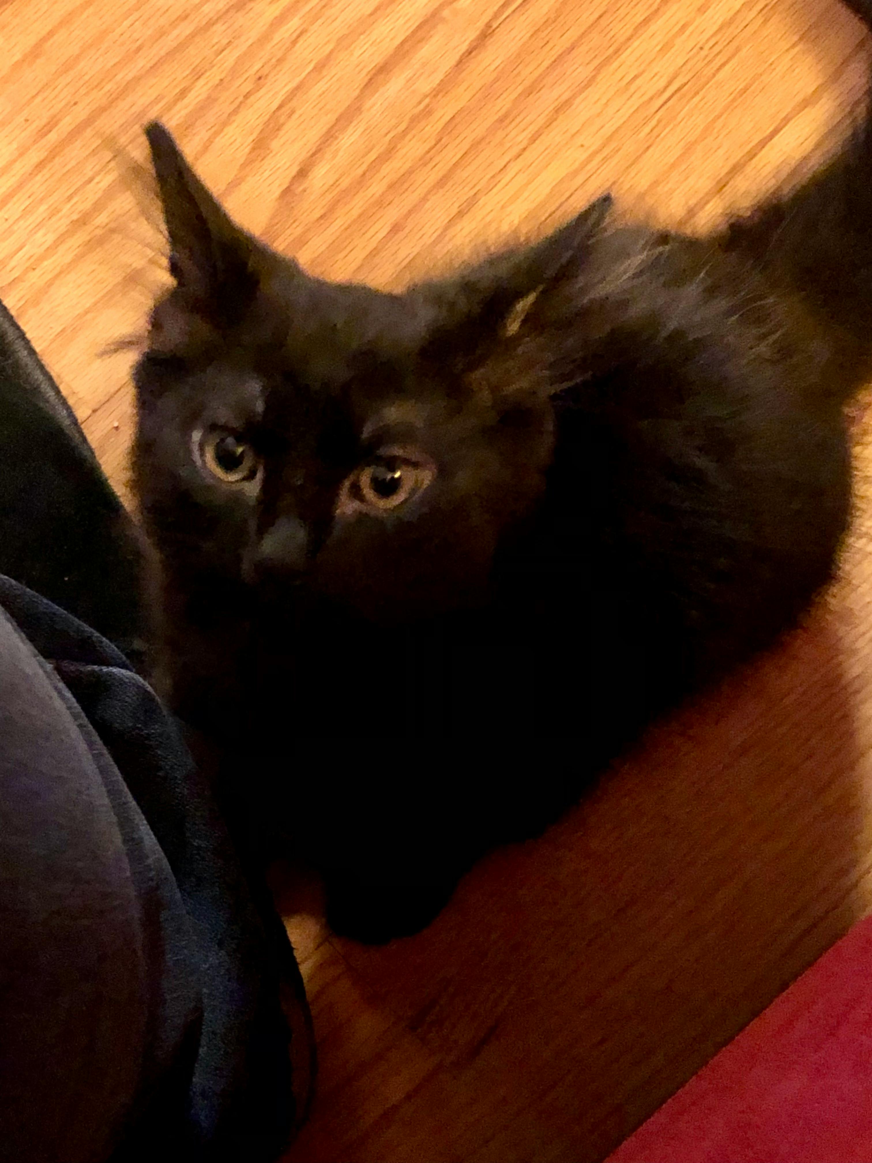 user avatar image for LK Chesney