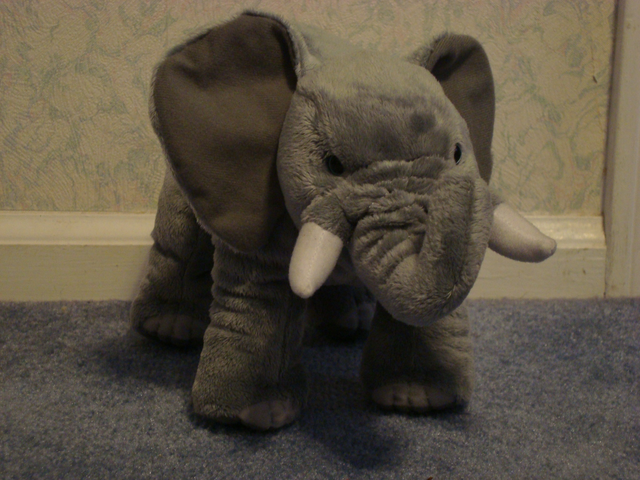 user avatar image for Phont