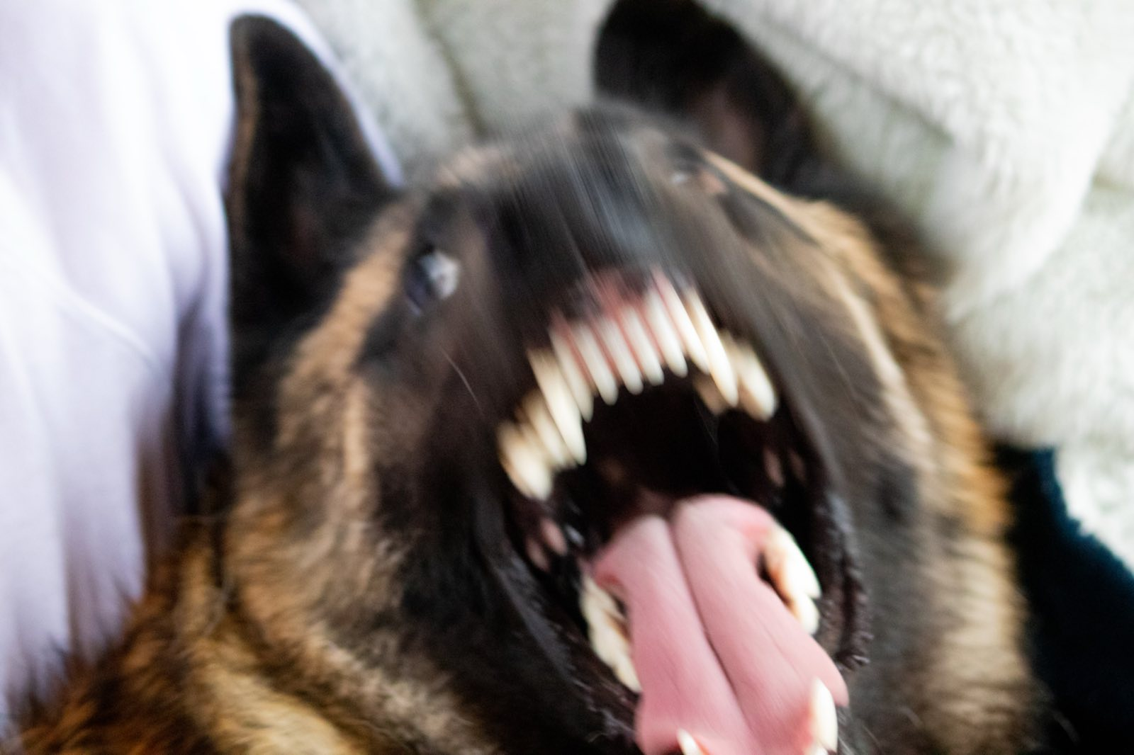 user avatar image for Caitlinn Cox 