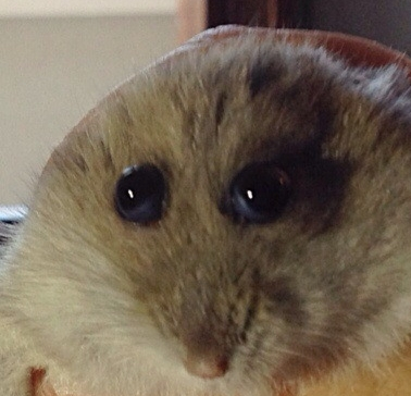 user avatar image for Dylan