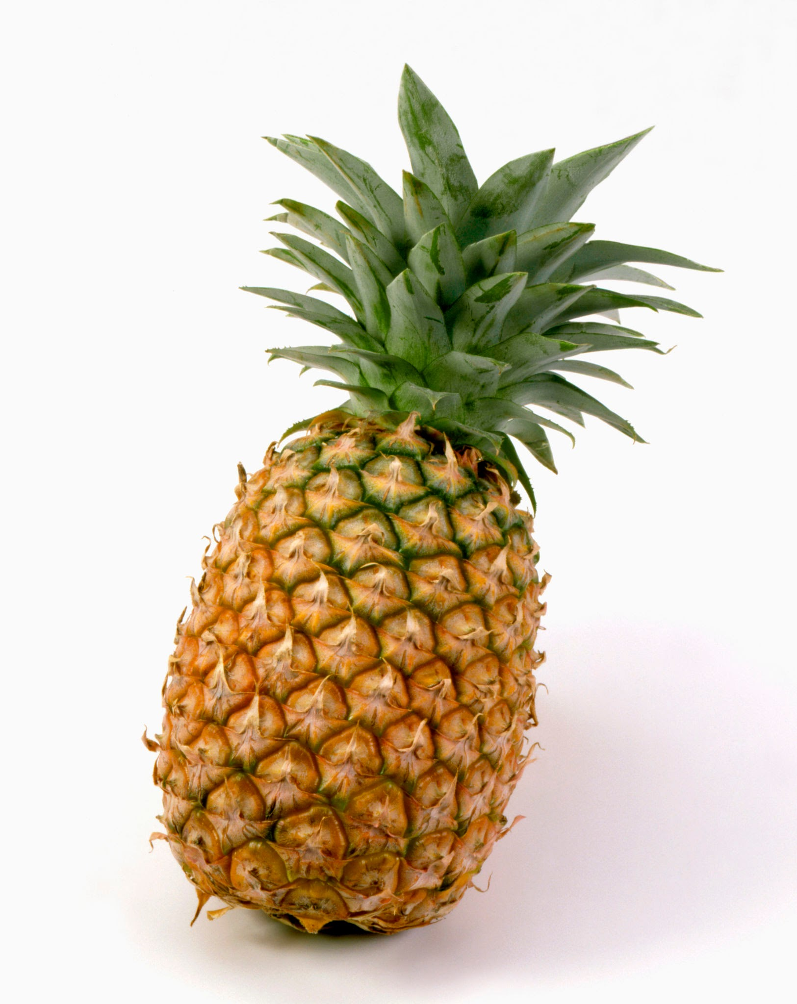 user avatar image for Piña