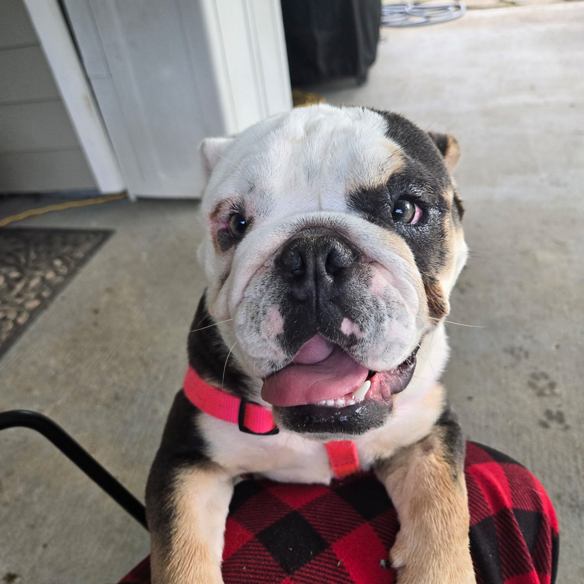 user avatar image for Griff