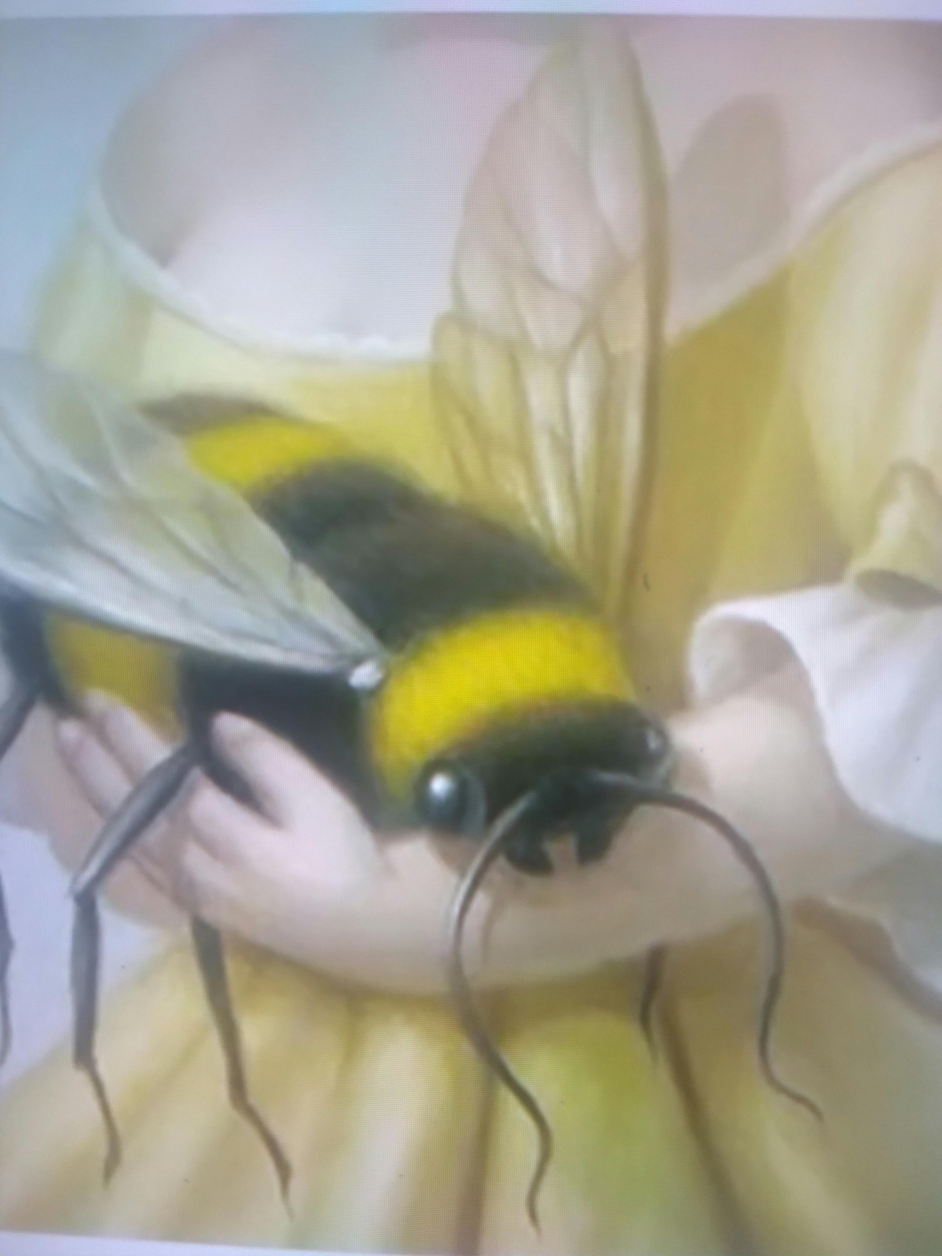 user avatar image for Lulu_thelost