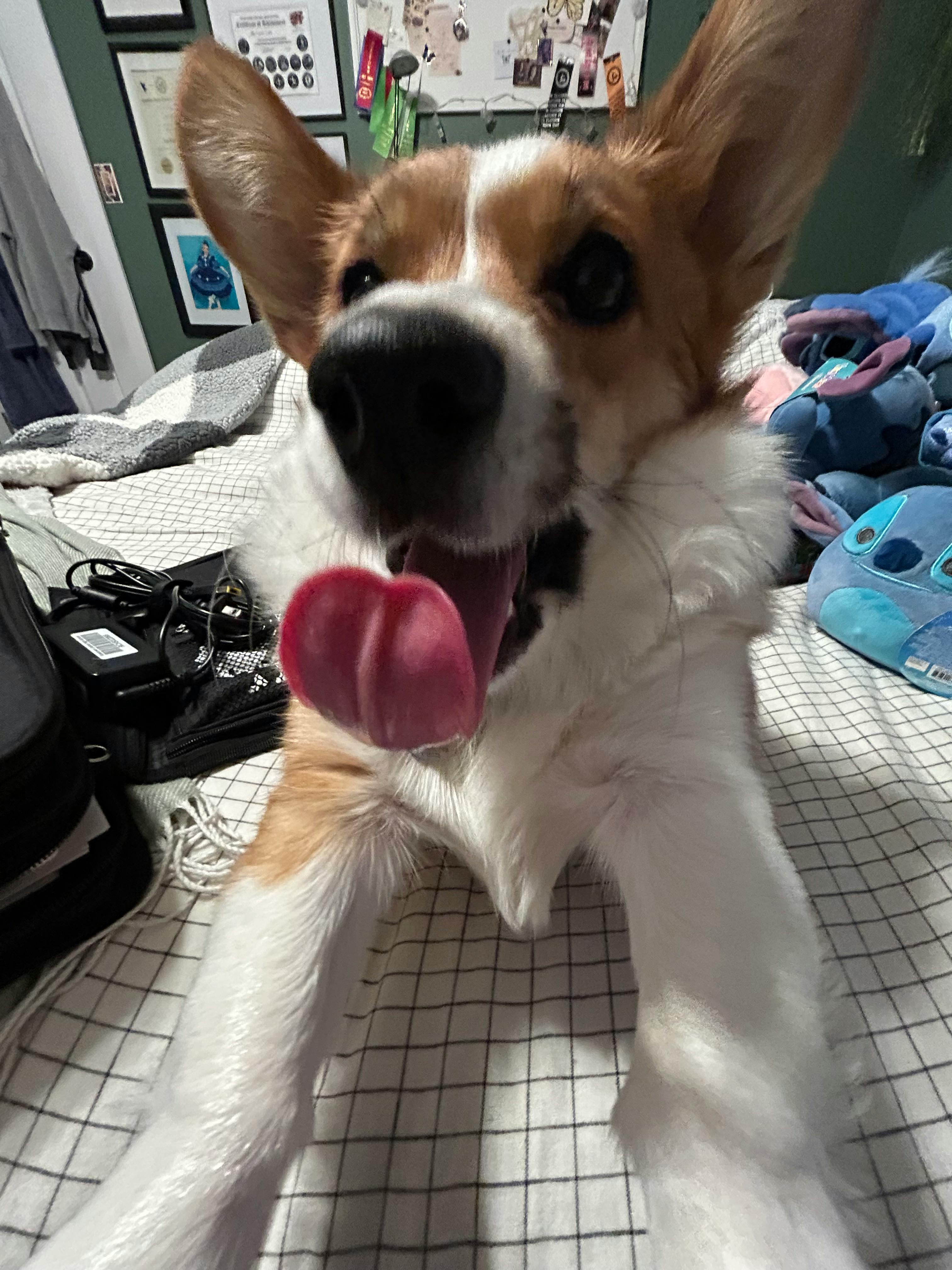 user avatar image for Sarah! <3