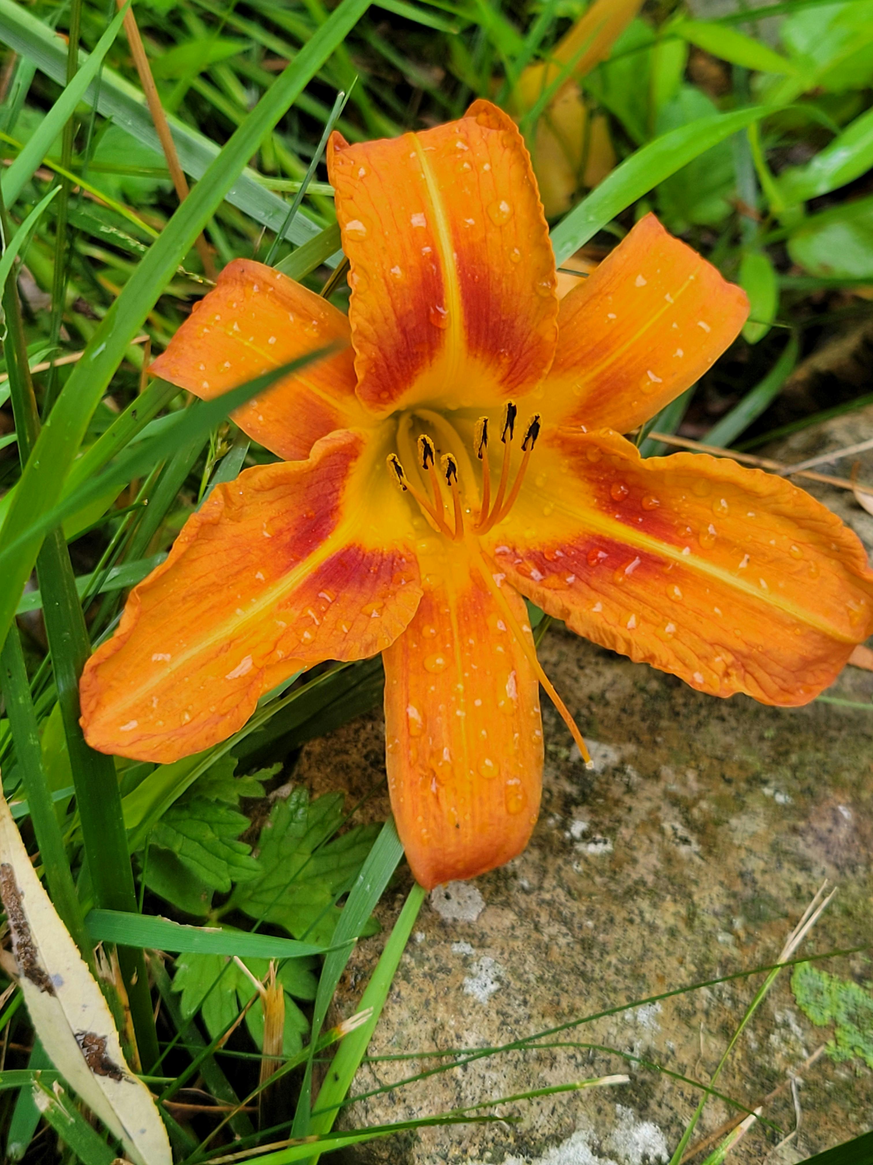 user avatar image for Aimee 