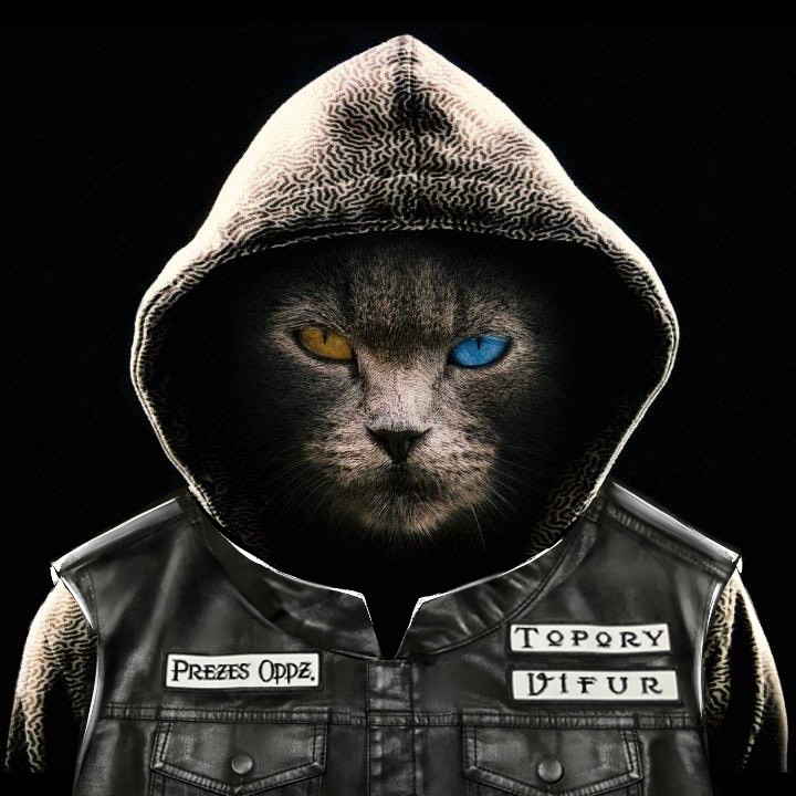 user avatar image for Vifur PL
