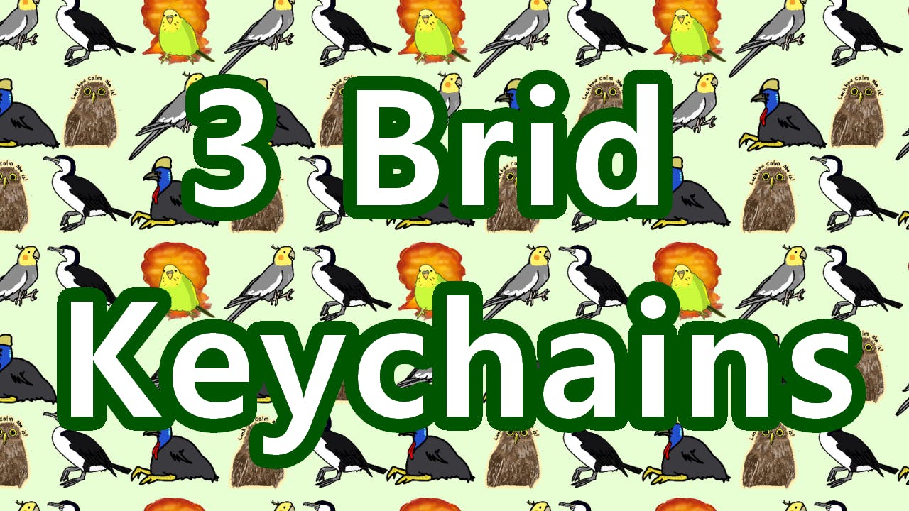 3 Brid Keychains