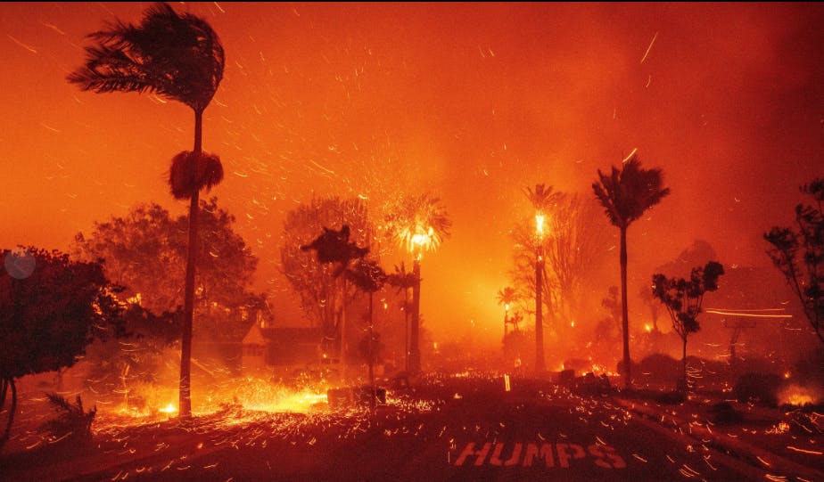 user avatar image for jennifer penip