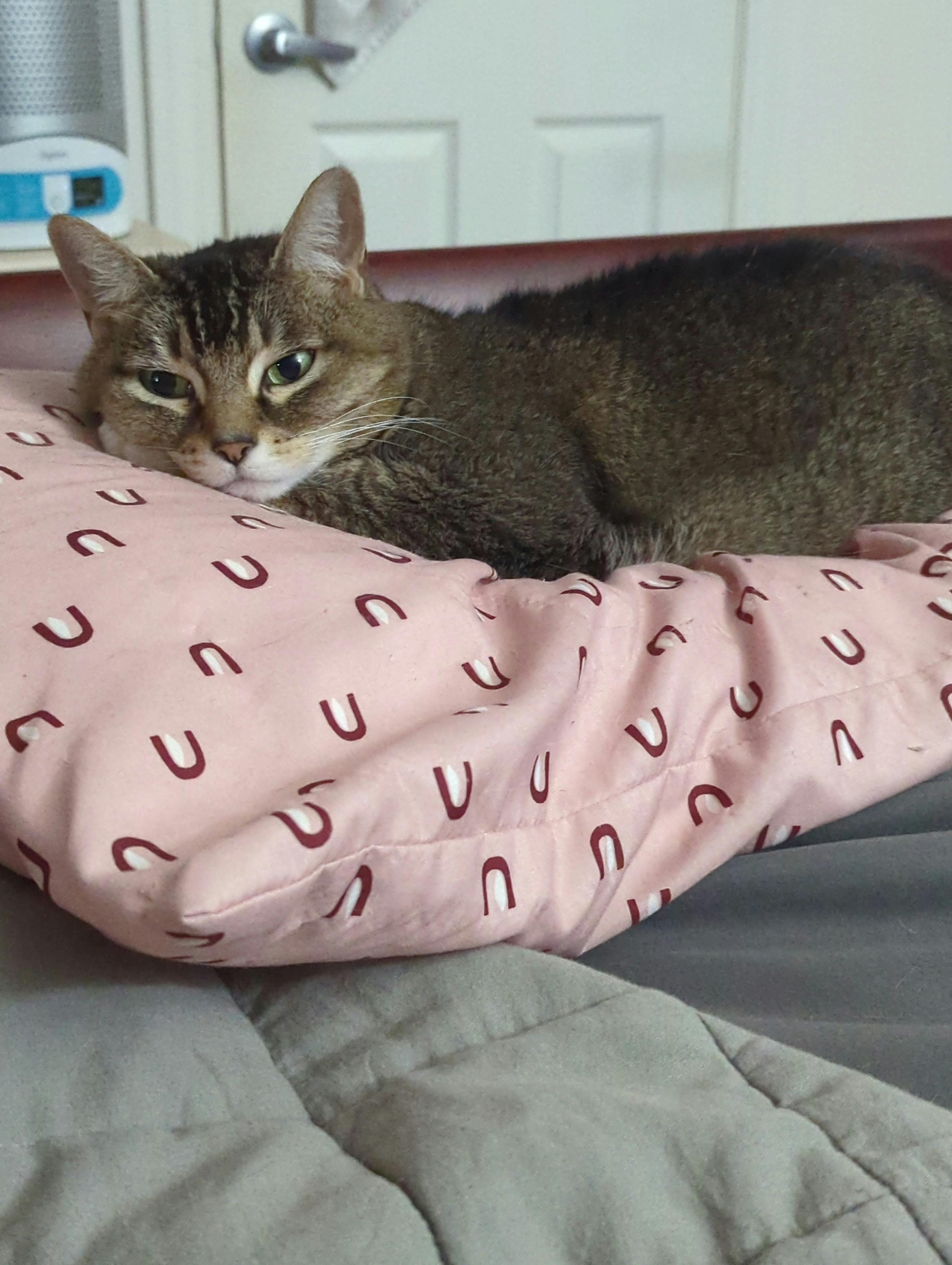 user avatar image for Brandon