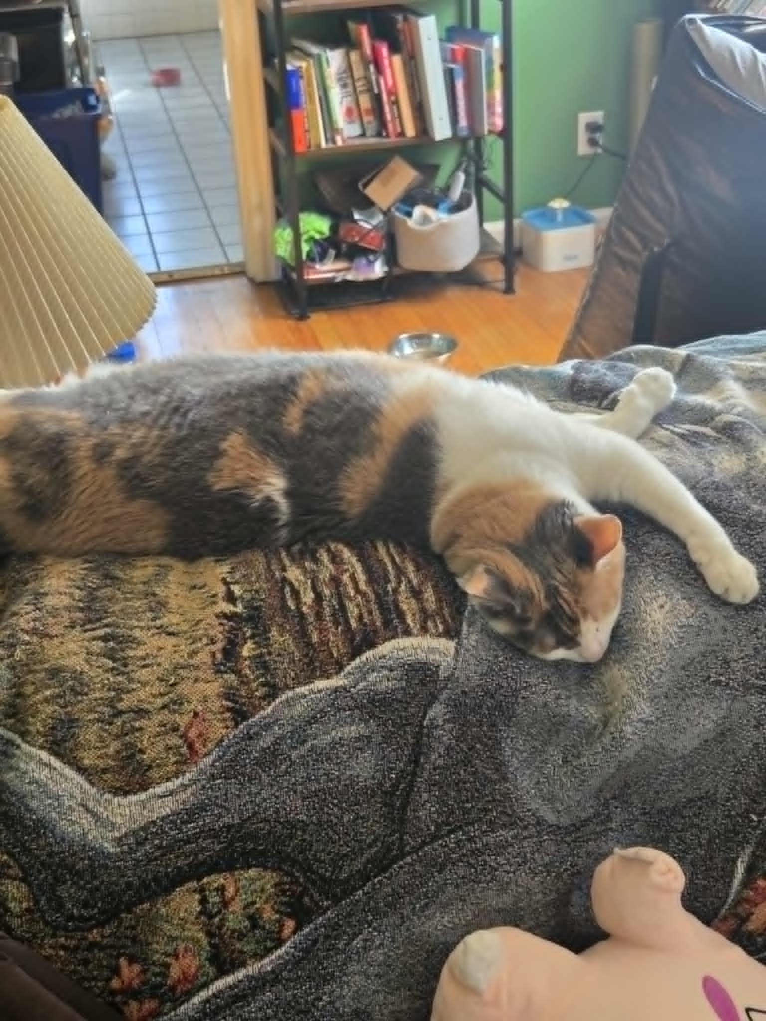 user avatar image for John G