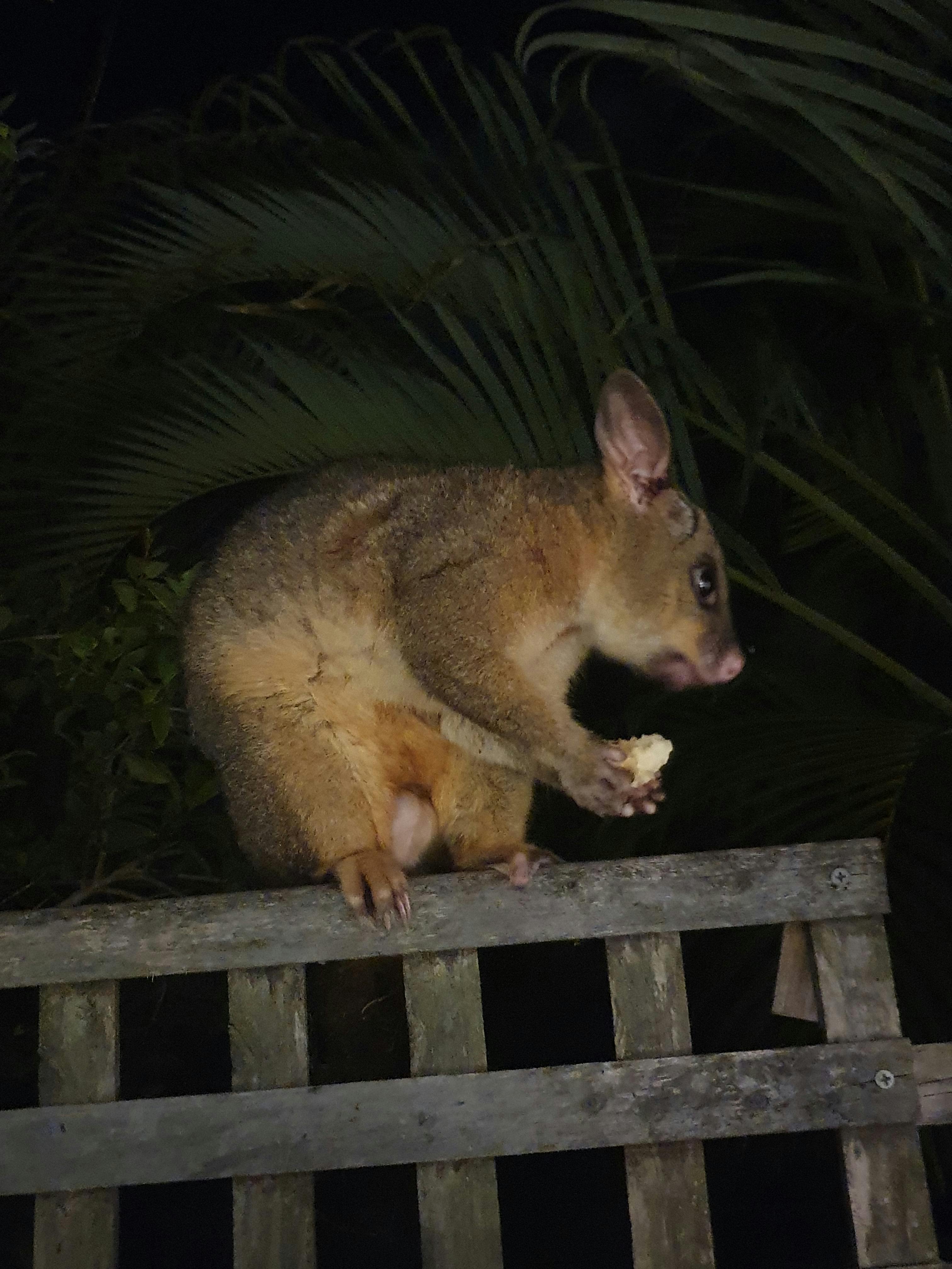 user avatar image for Ryan Schneider