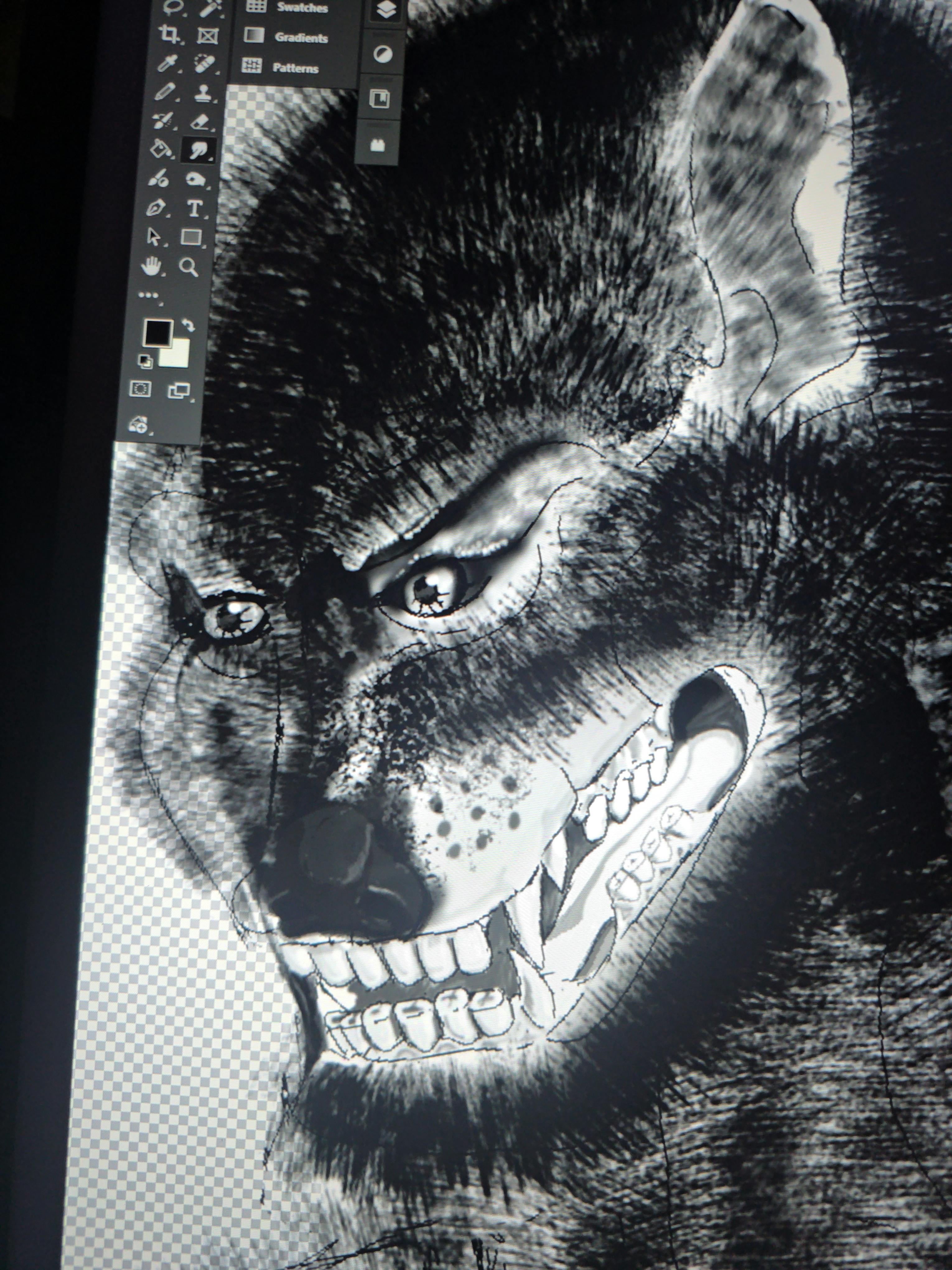 user avatar image for Shockery