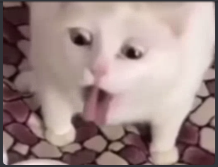 user avatar image for Malishis