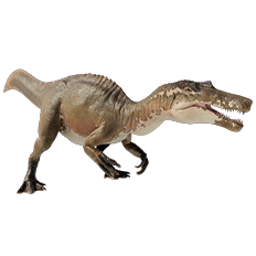 user avatar image for SHeepdino