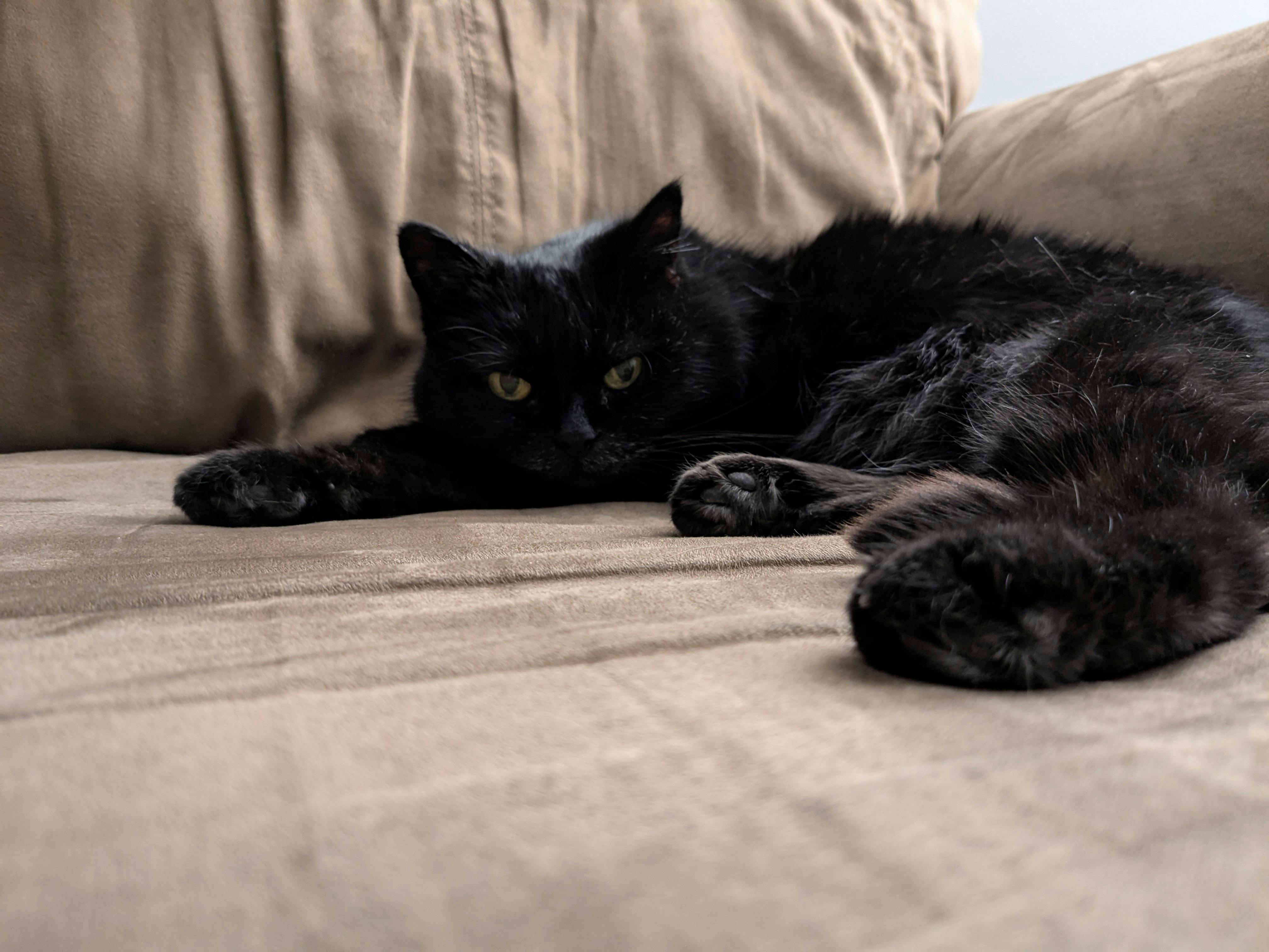 user avatar image for Adrienne