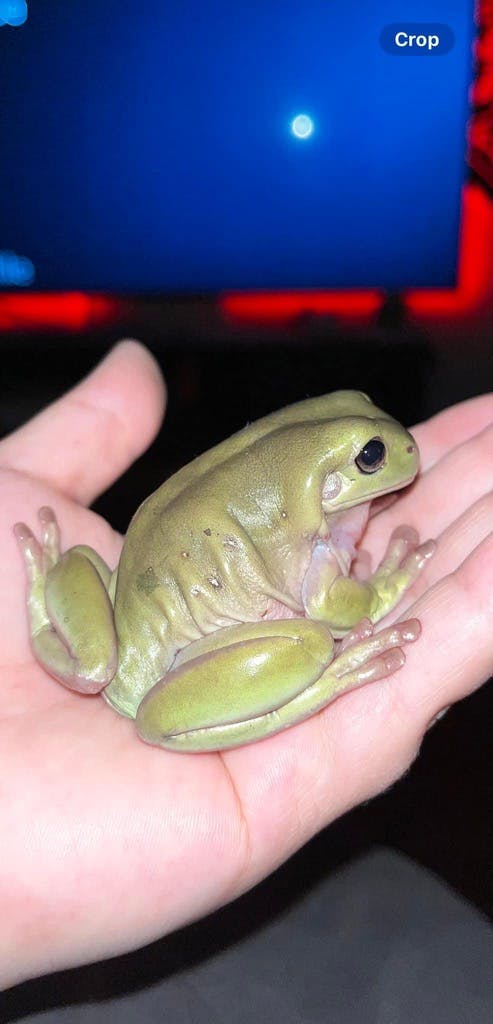 user avatar image for Gabrielle Rabold