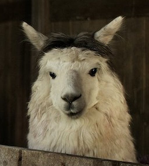 user avatar image for David R Eaton II