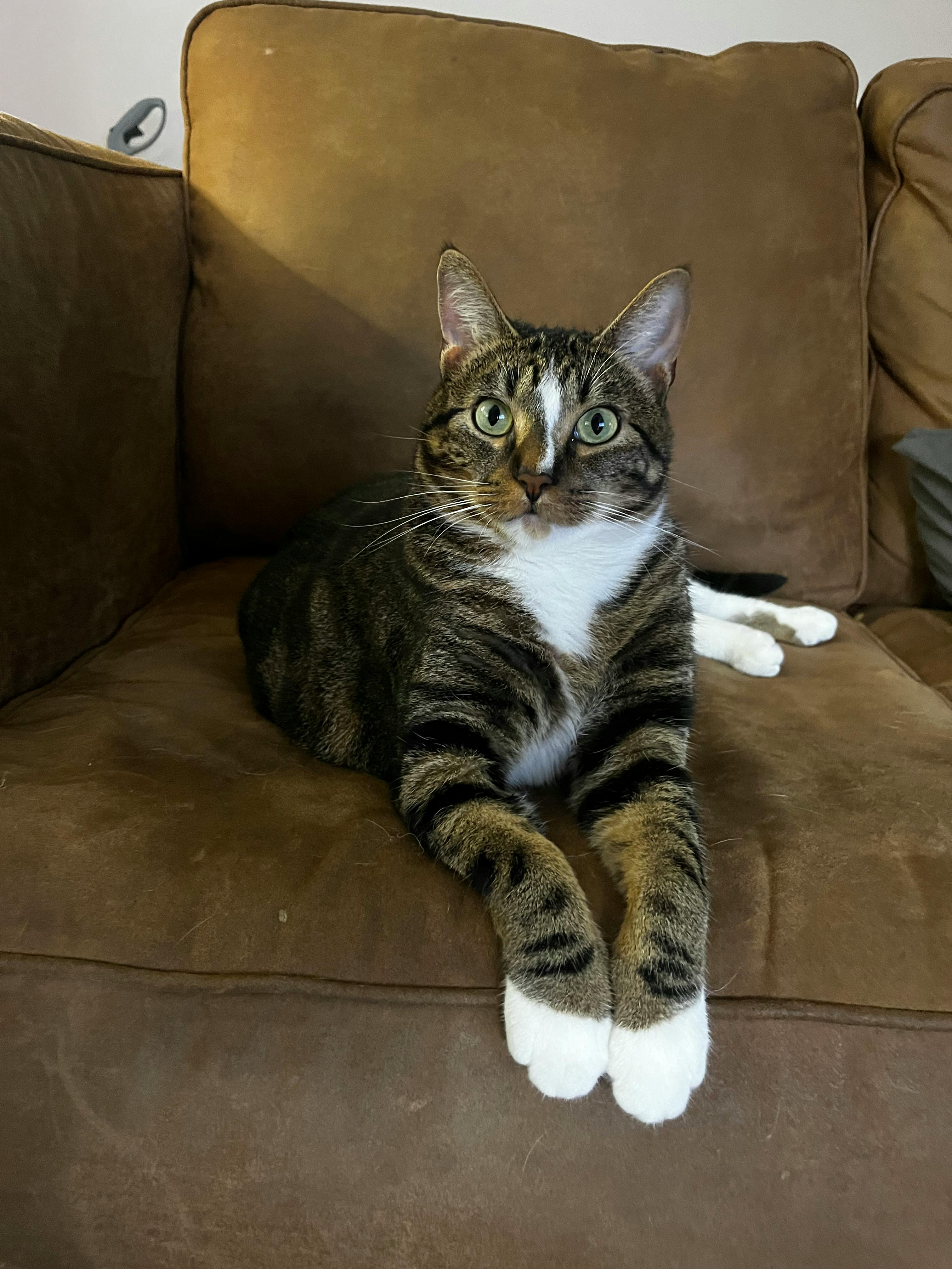 user avatar image for Faust