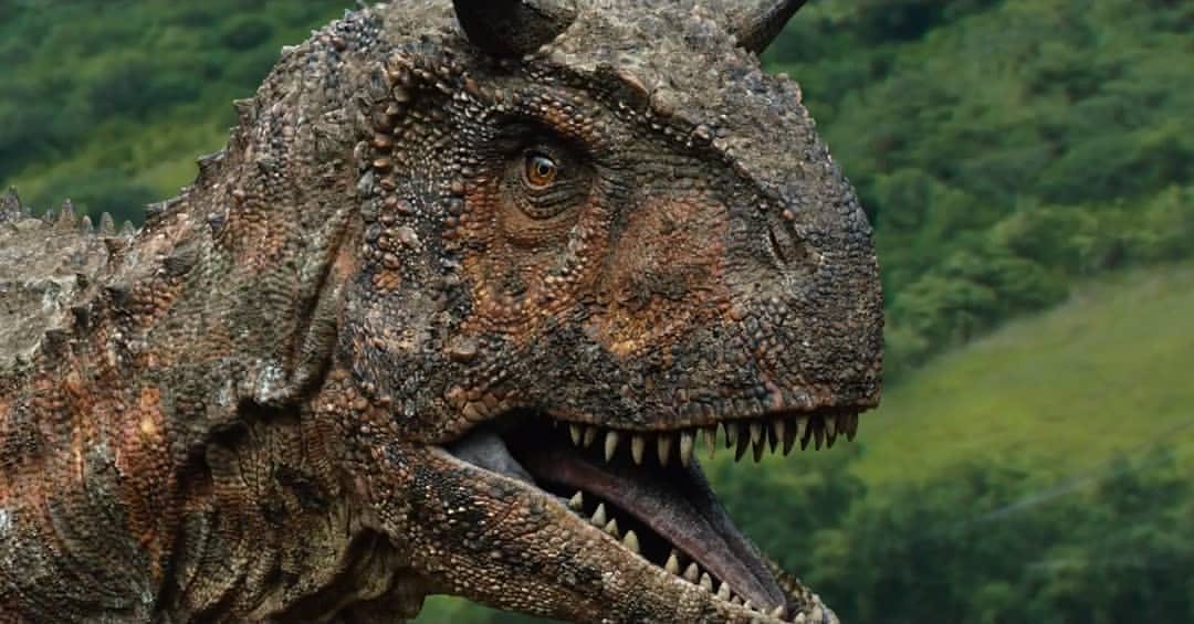 user avatar image for Chrono