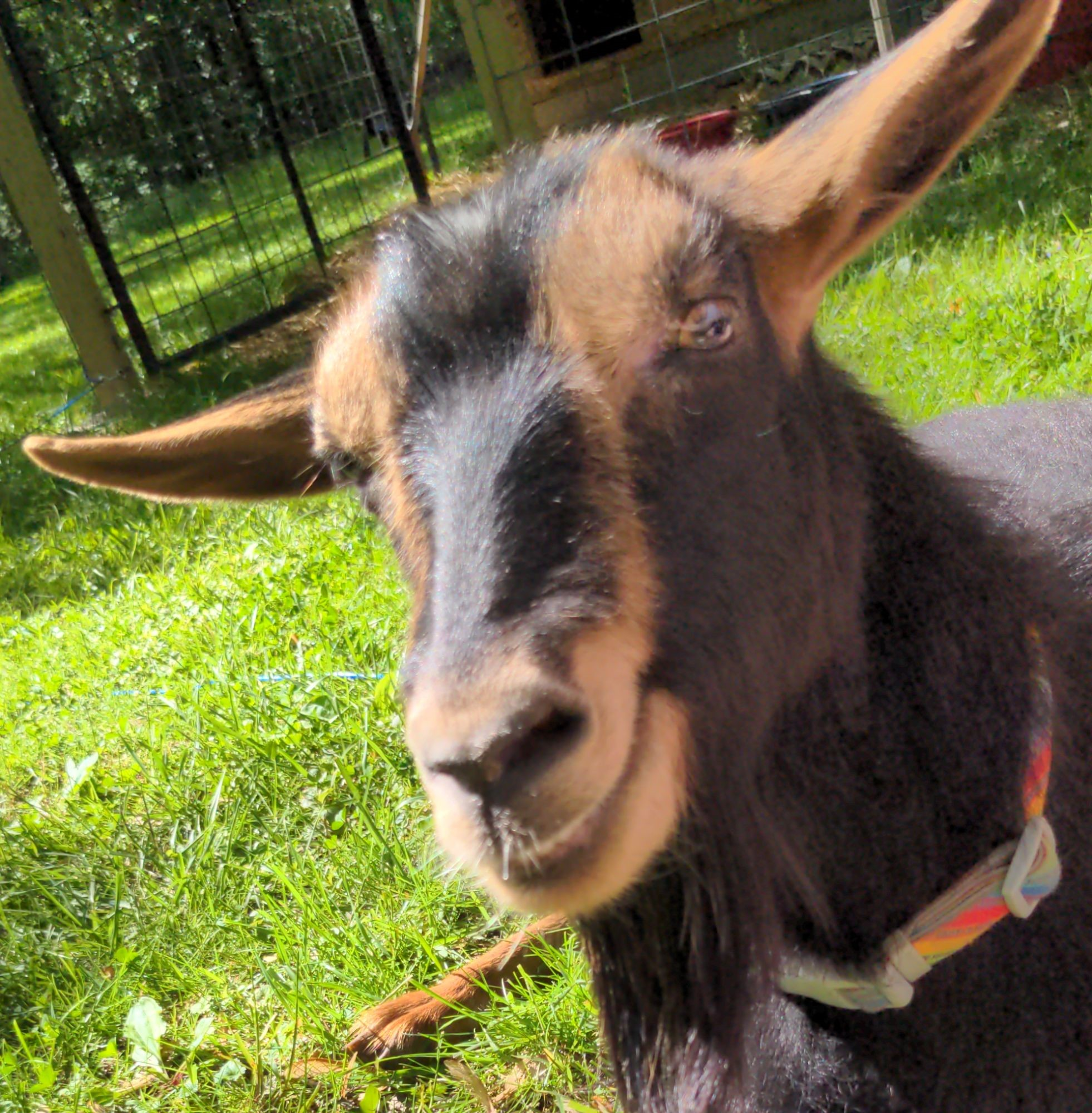 user avatar image for Emmy