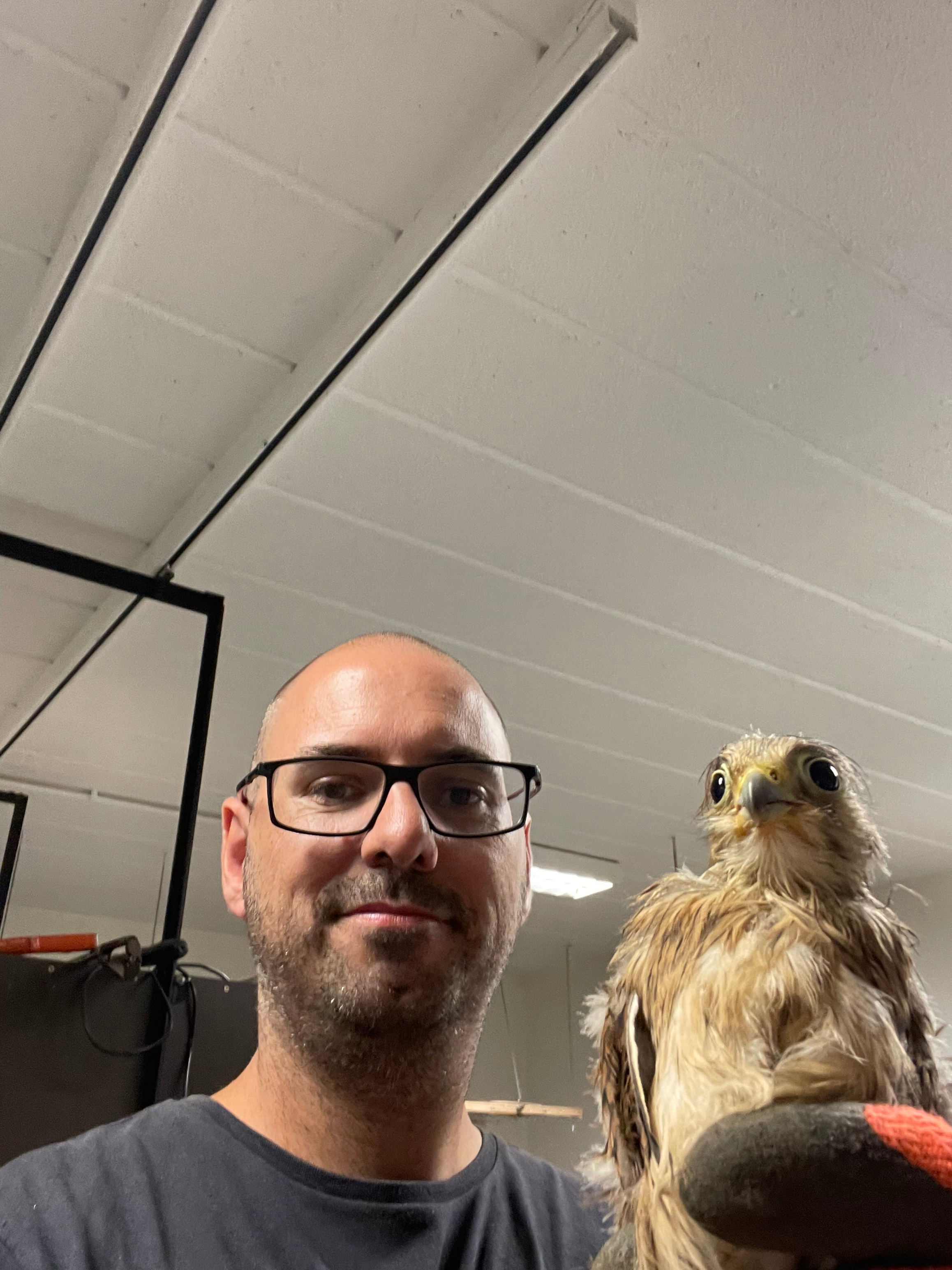 user avatar image for Tom Cools