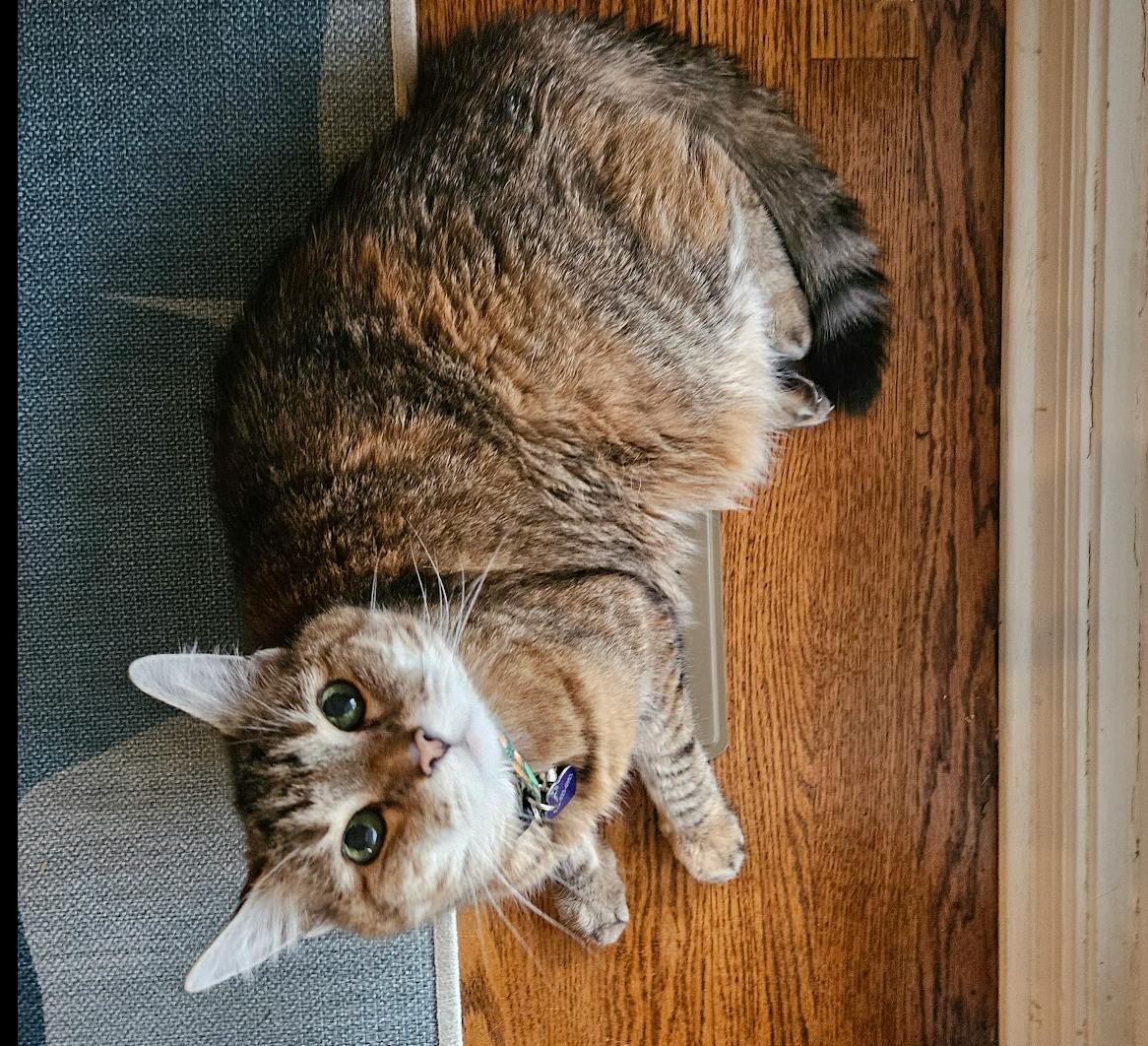 user avatar image for neonstardust