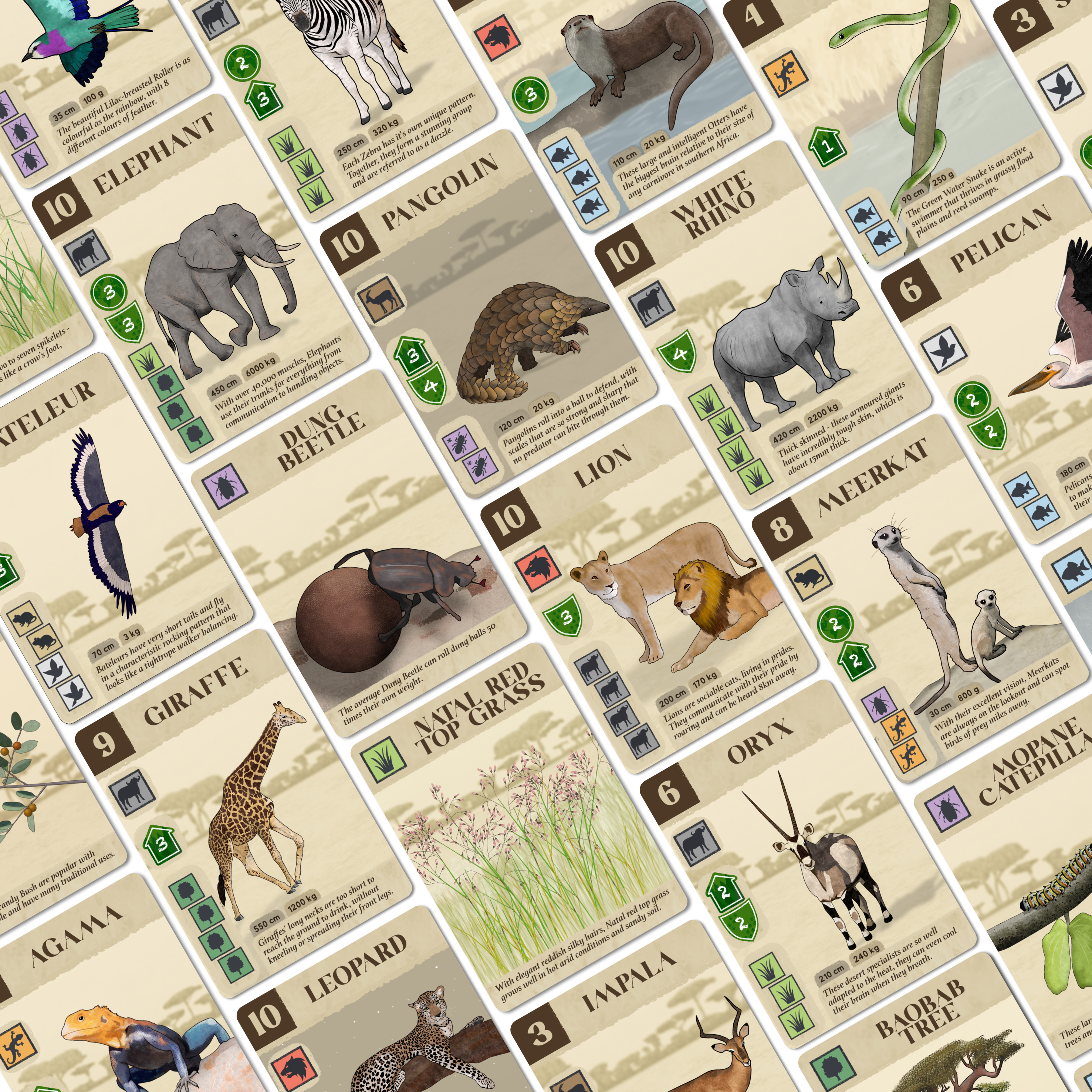 user avatar image for Kavango Board Game 