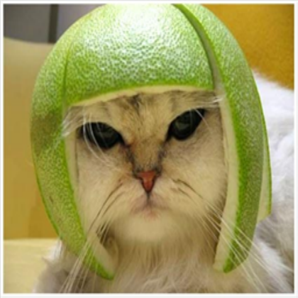 user avatar image for LWG