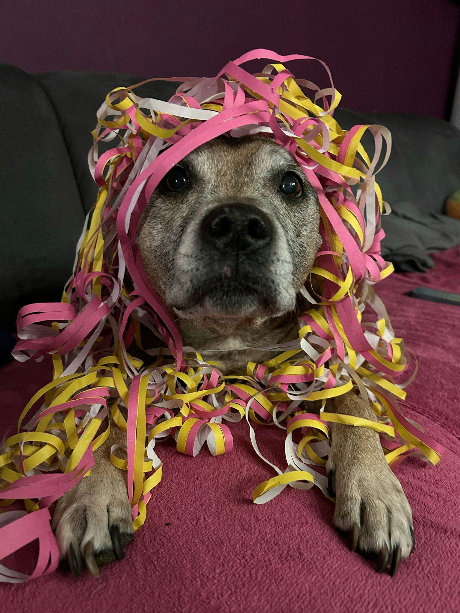 user avatar image for Harrie Teunissen