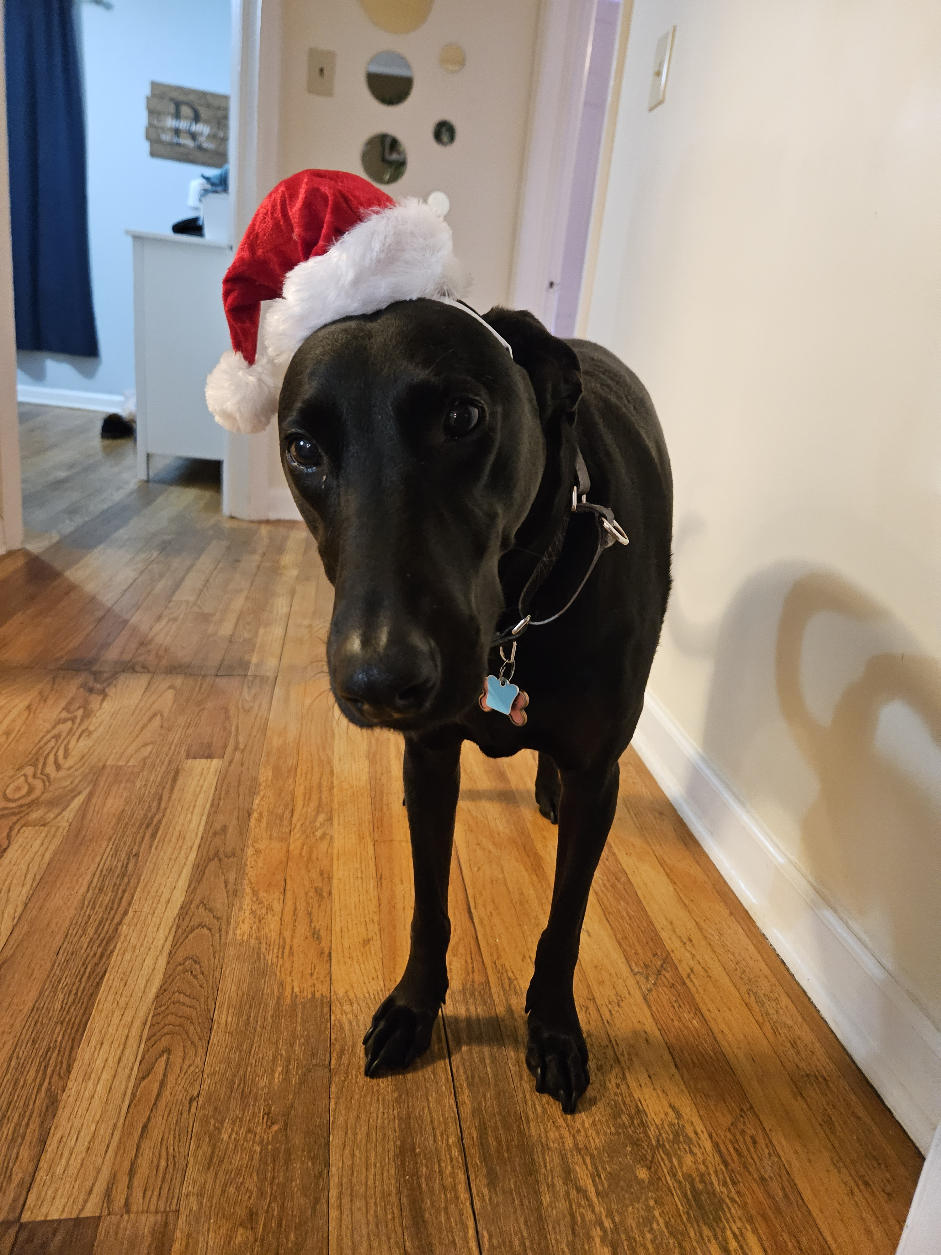 user avatar image for Thomas