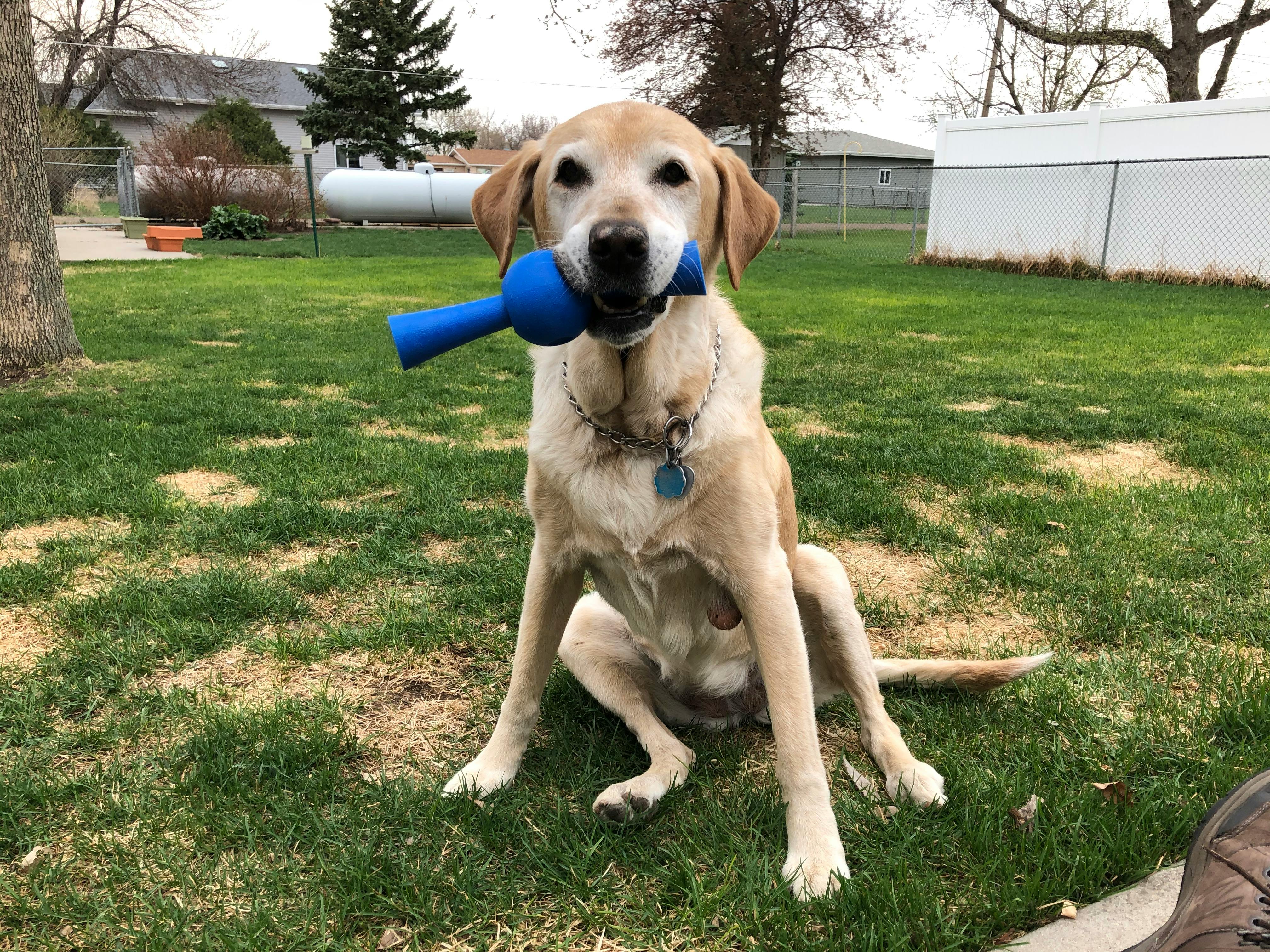 user avatar image for Loren Lennie