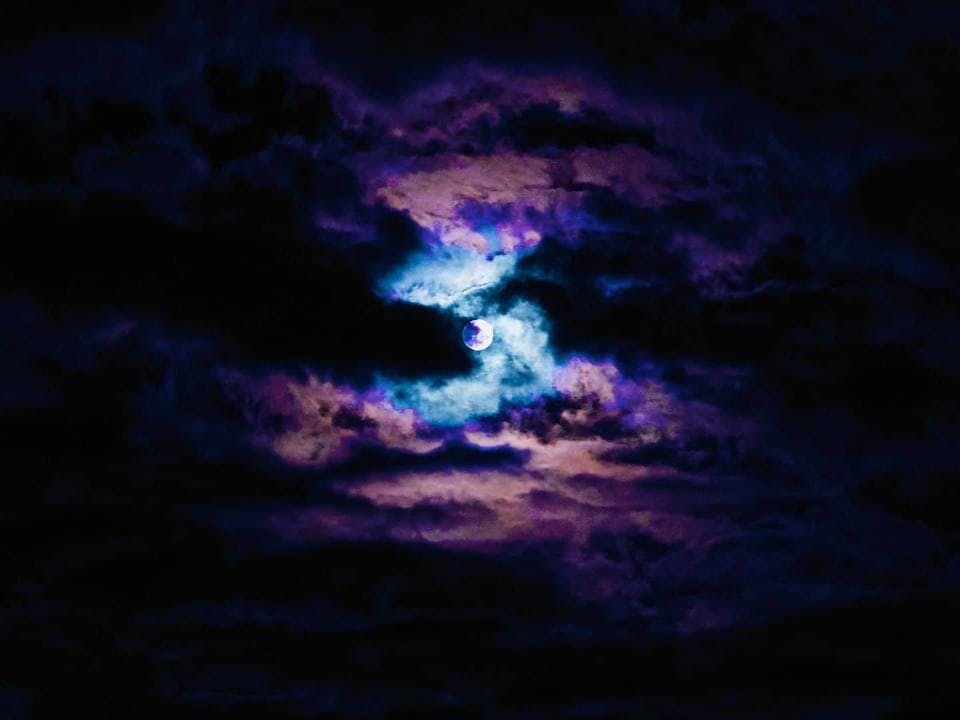 user avatar image for Roxas Ray