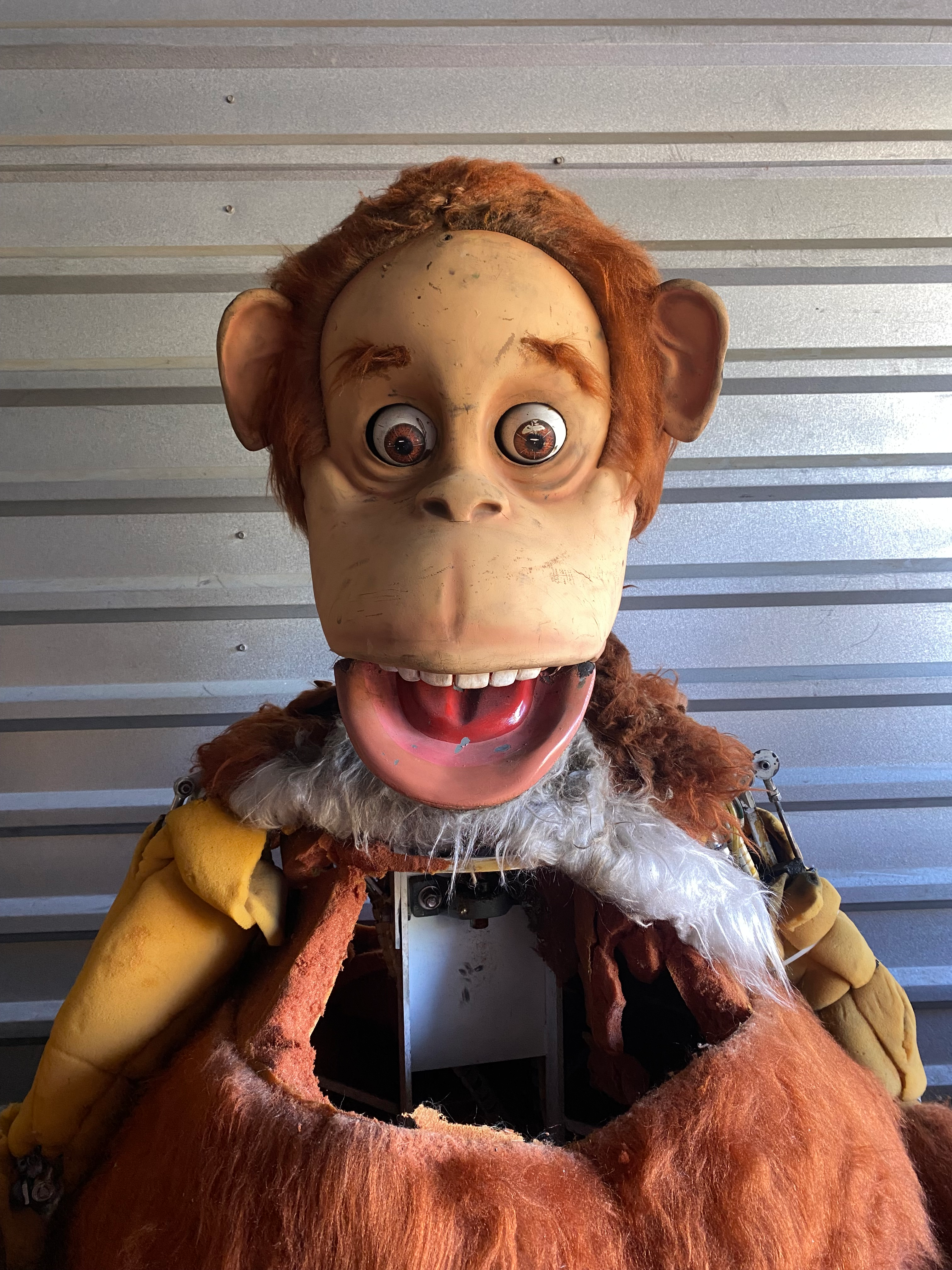 user avatar image for Animal Crackers