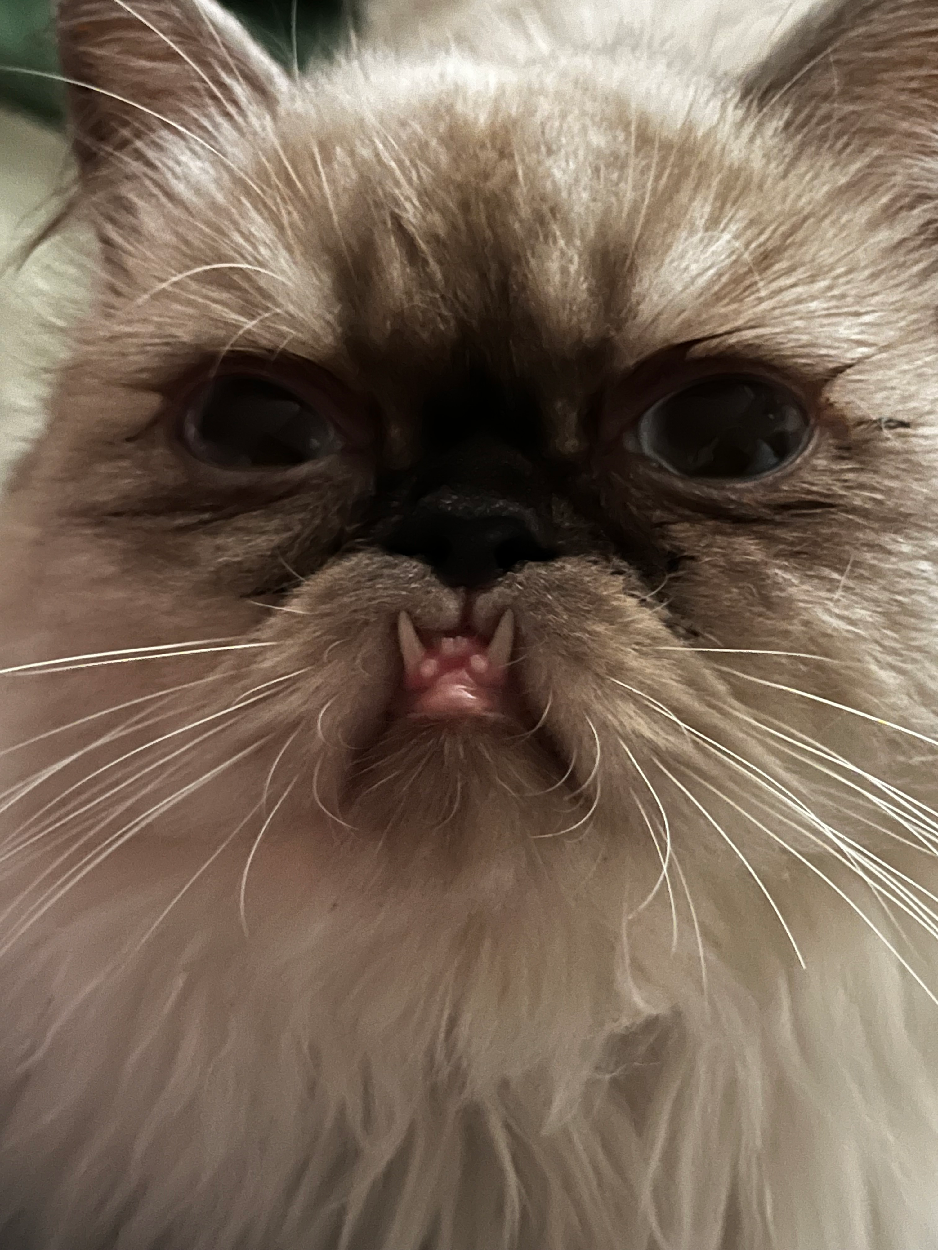 user avatar image for xwillfx