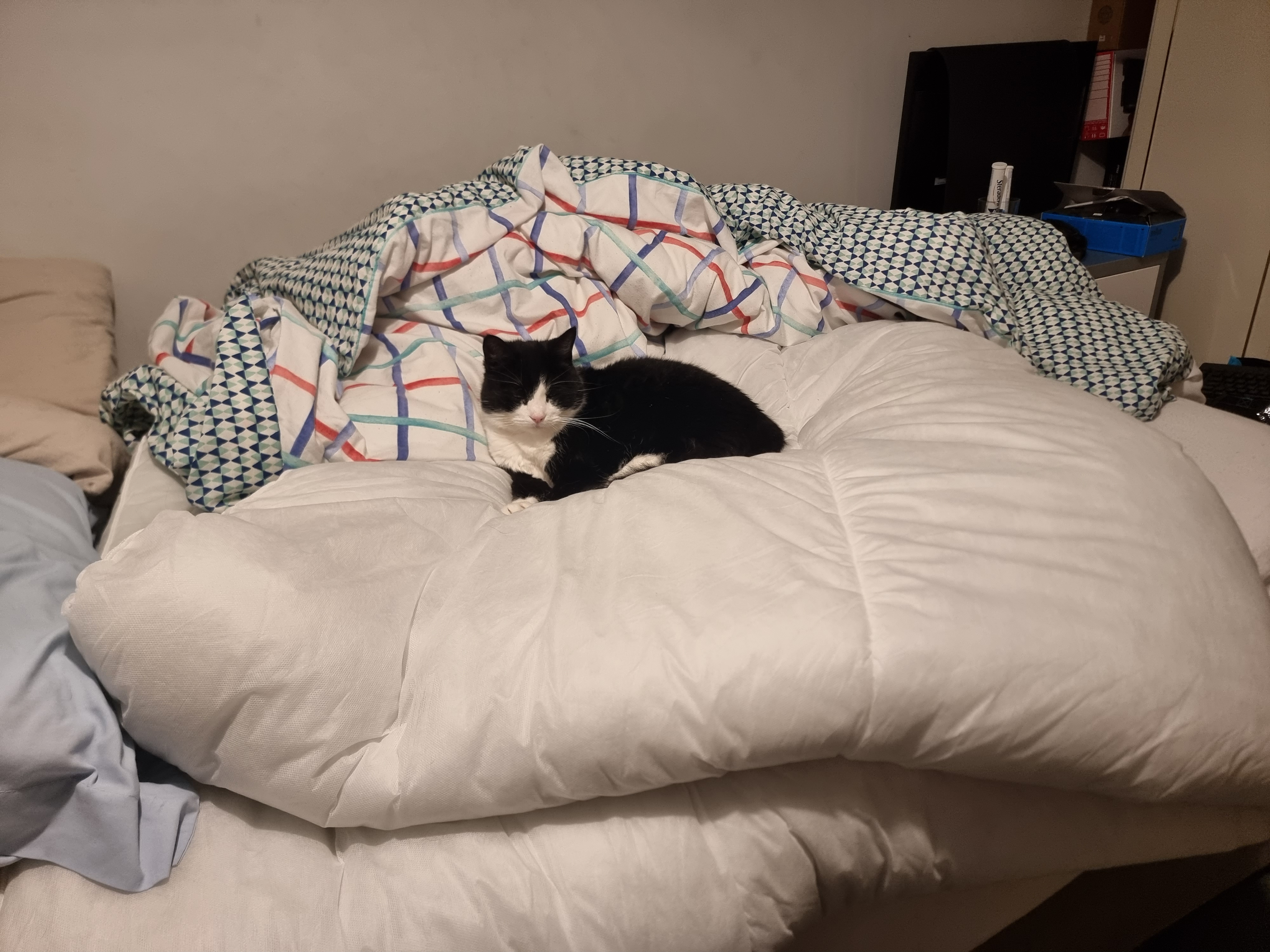 user avatar image for Andrew Cornish